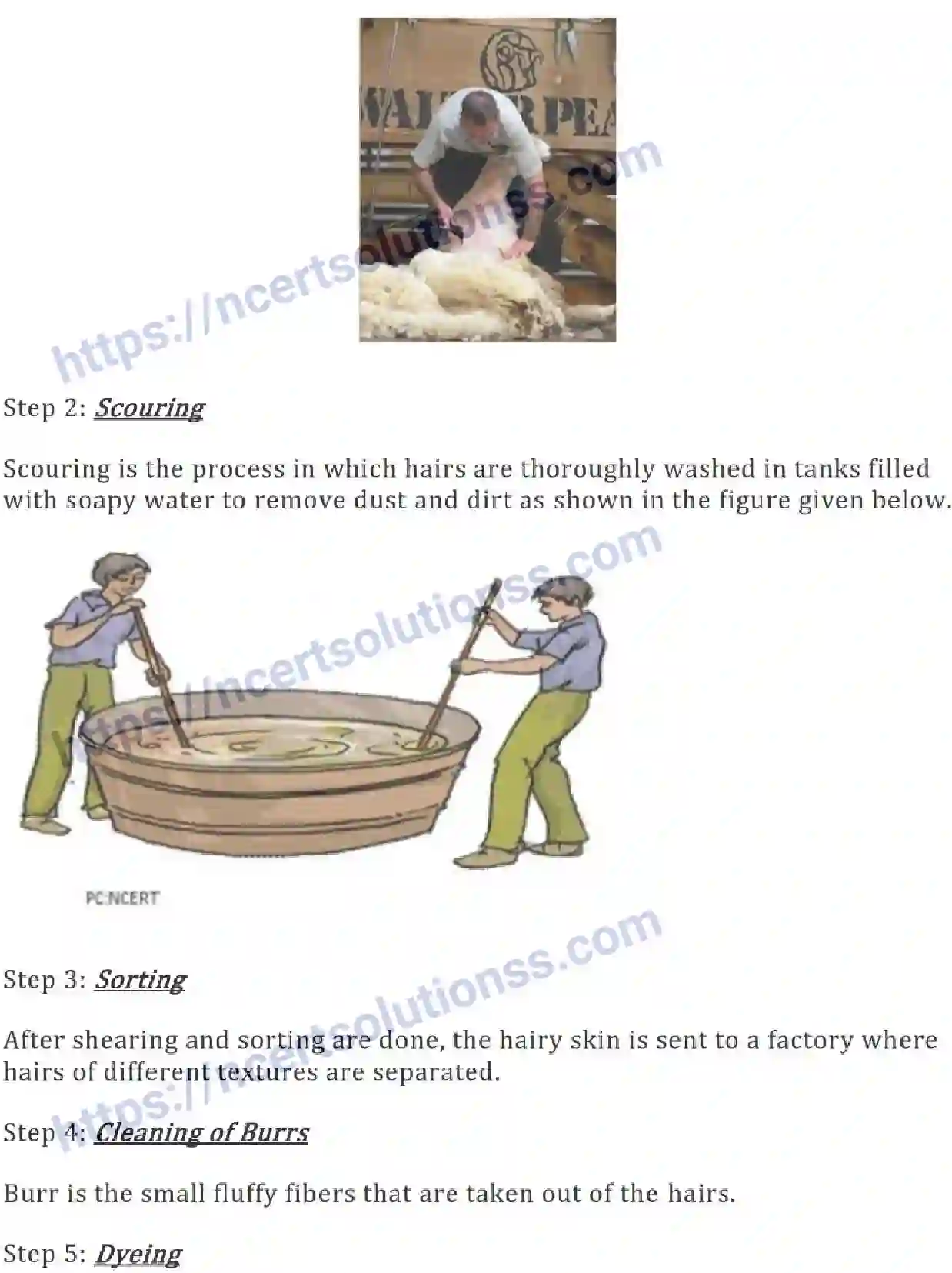 NCERT-Notes-Class-7-Science-Ch-03-Fibre-to-Fabric-686-page-4