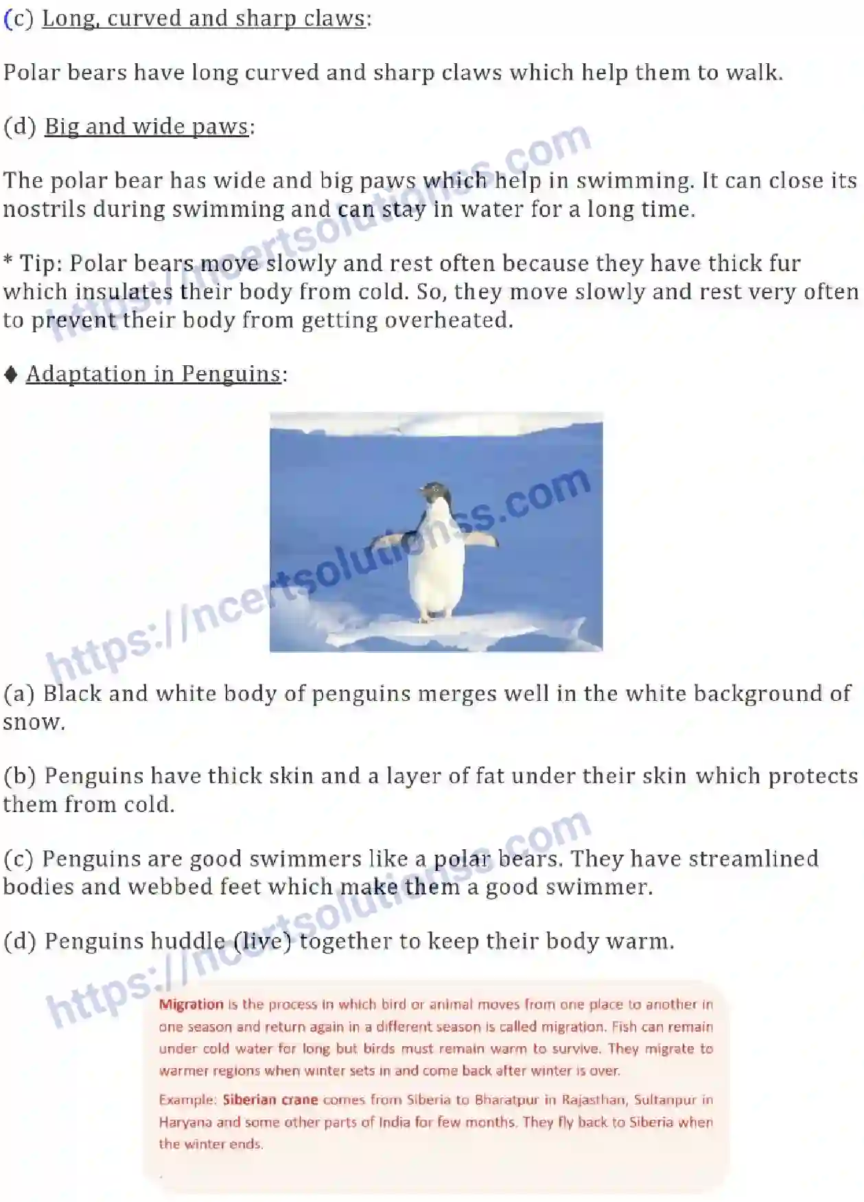 NCERT-Notes-Class-7-Science-Ch-07-Weather-Climate-and-Adaptations-of-Animals-To-Climate-690-page-4