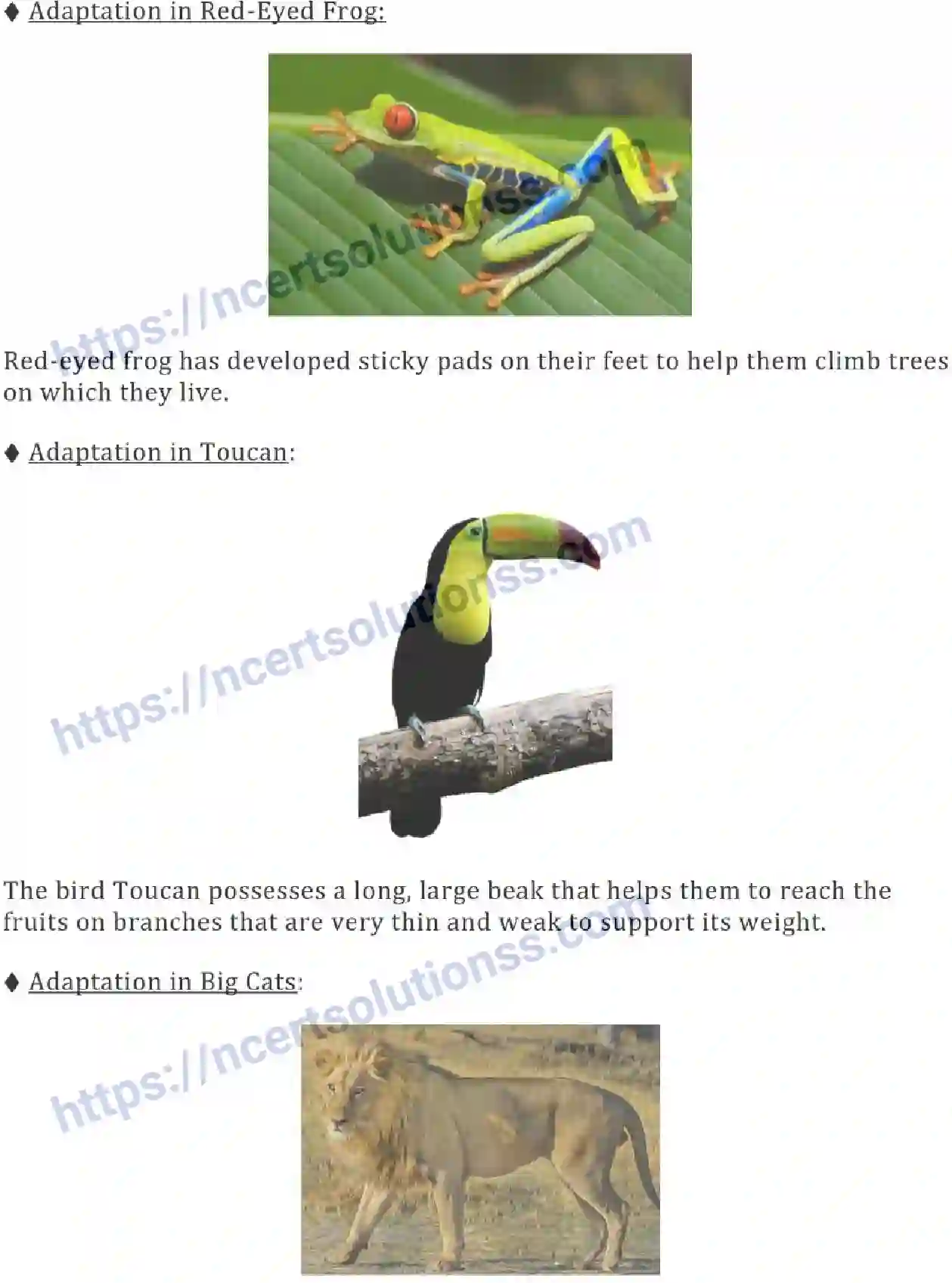 NCERT-Notes-Class-7-Science-Ch-07-Weather-Climate-and-Adaptations-of-Animals-To-Climate-690-page-6