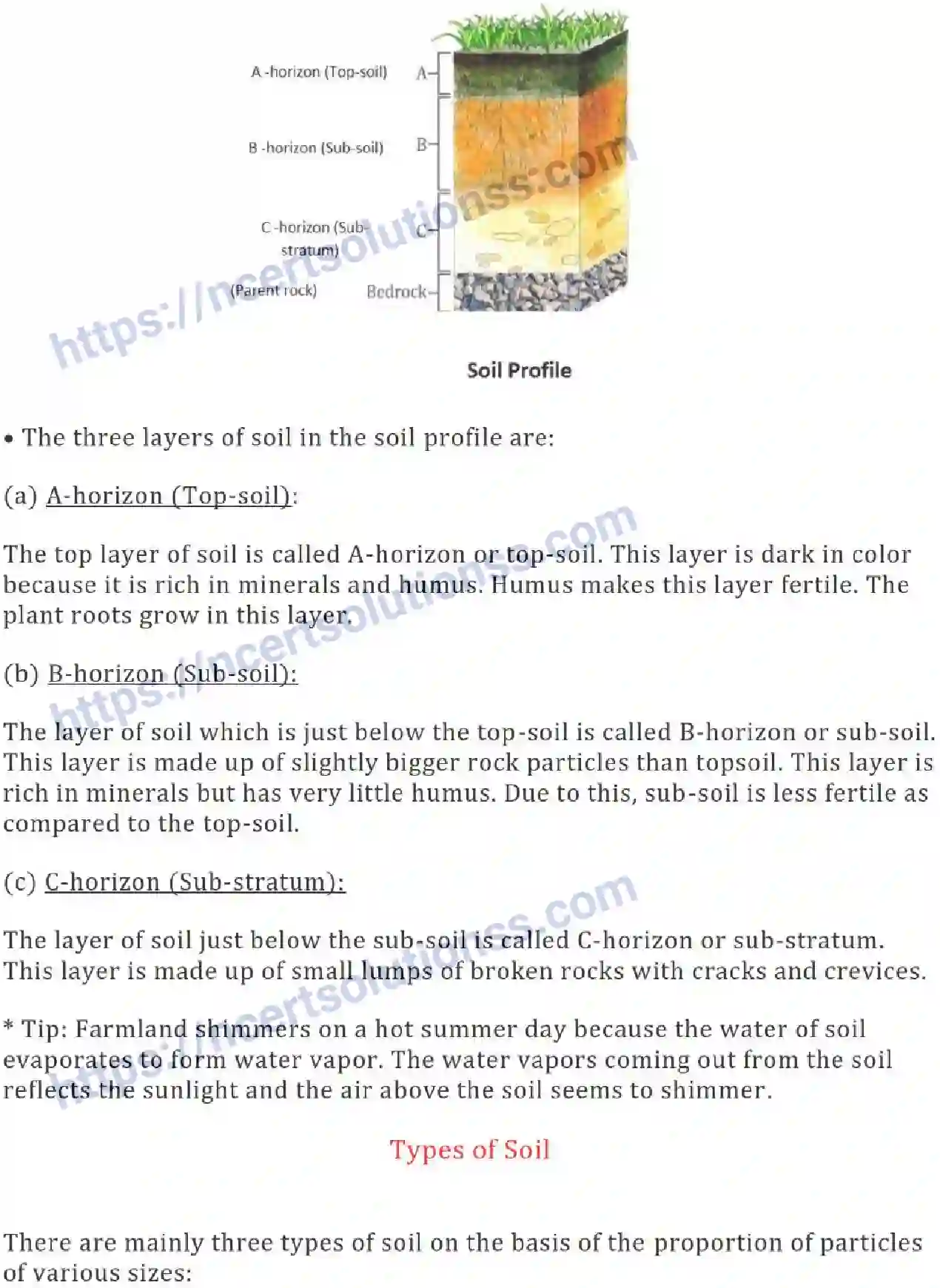 NCERT-Notes-Class-7-Science-Ch-09-Soil-692-page-2