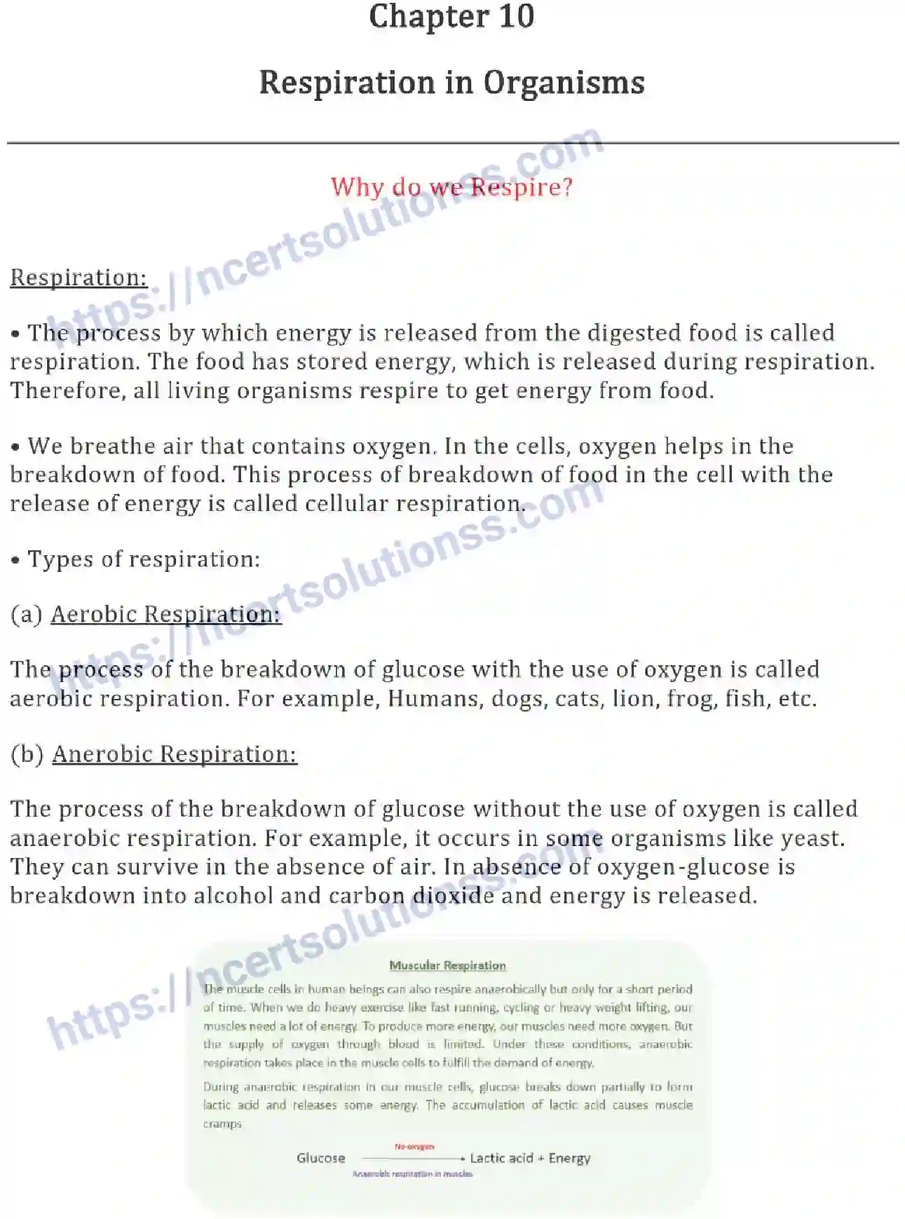 NCERT-Notes-Class-7-Science-Ch-10-Respiration-in-Organisms-693-page-1