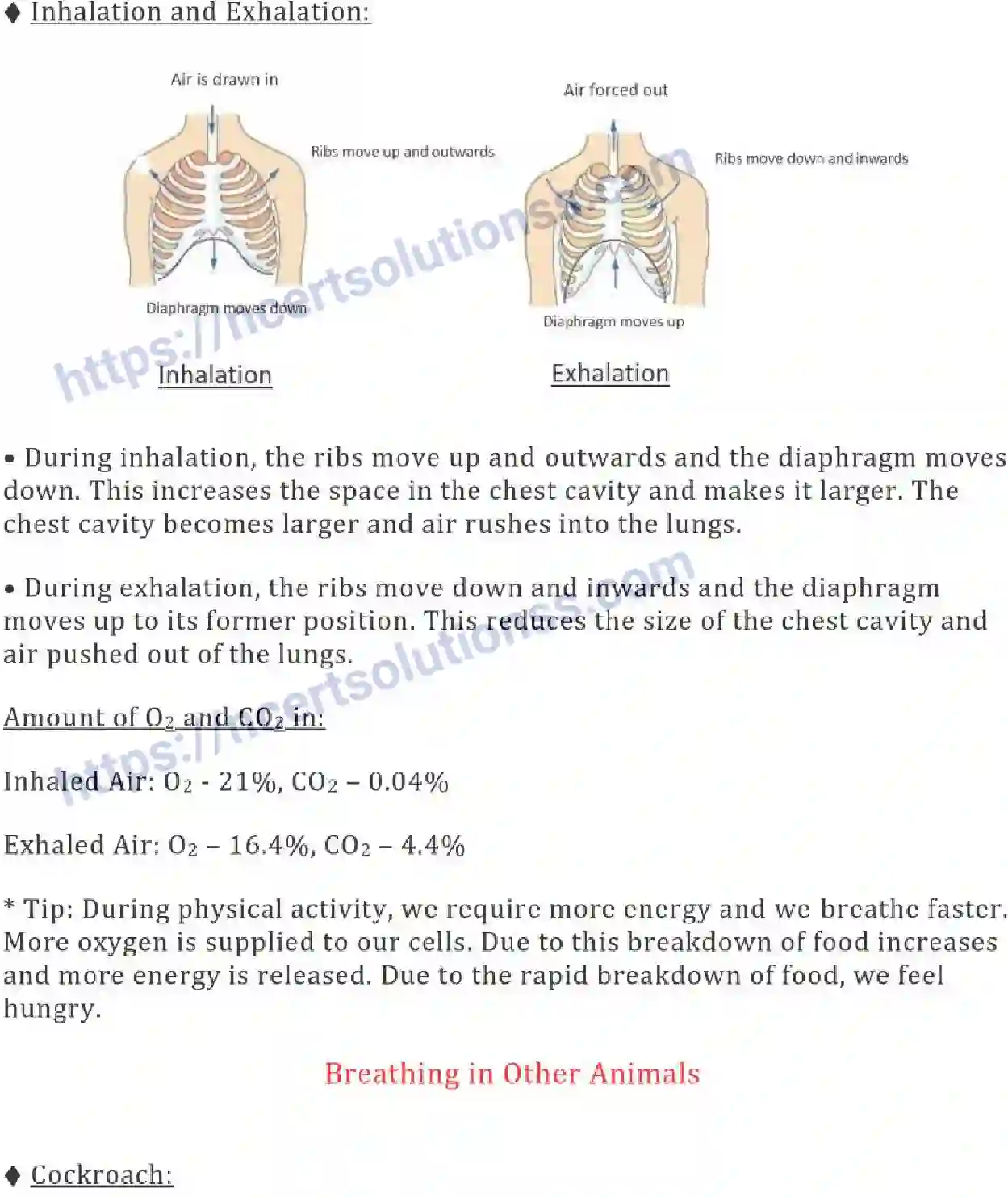 NCERT-Notes-Class-7-Science-Ch-10-Respiration-in-Organisms-693-page-3