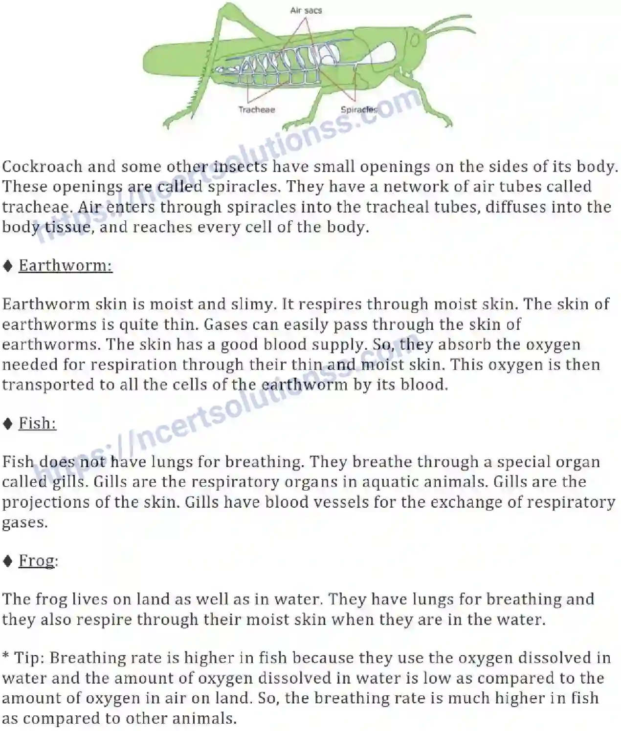 NCERT-Notes-Class-7-Science-Ch-10-Respiration-in-Organisms-693-page-4