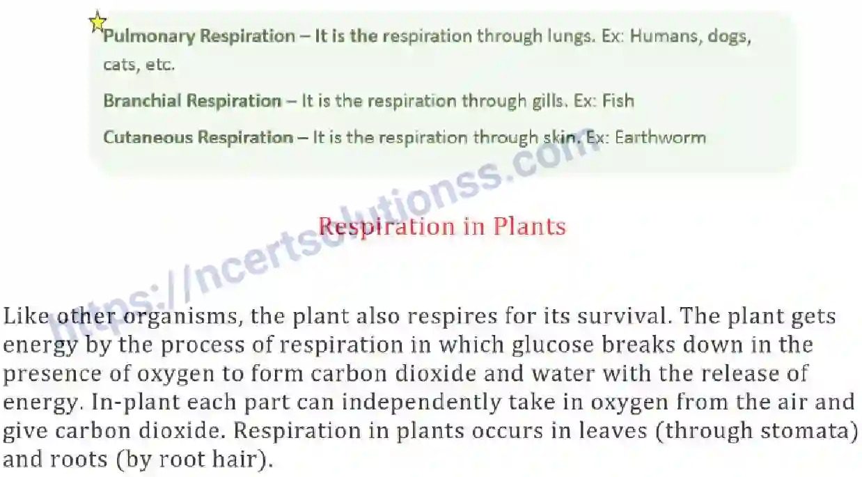 NCERT-Notes-Class-7-Science-Ch-10-Respiration-in-Organisms-693-page-5