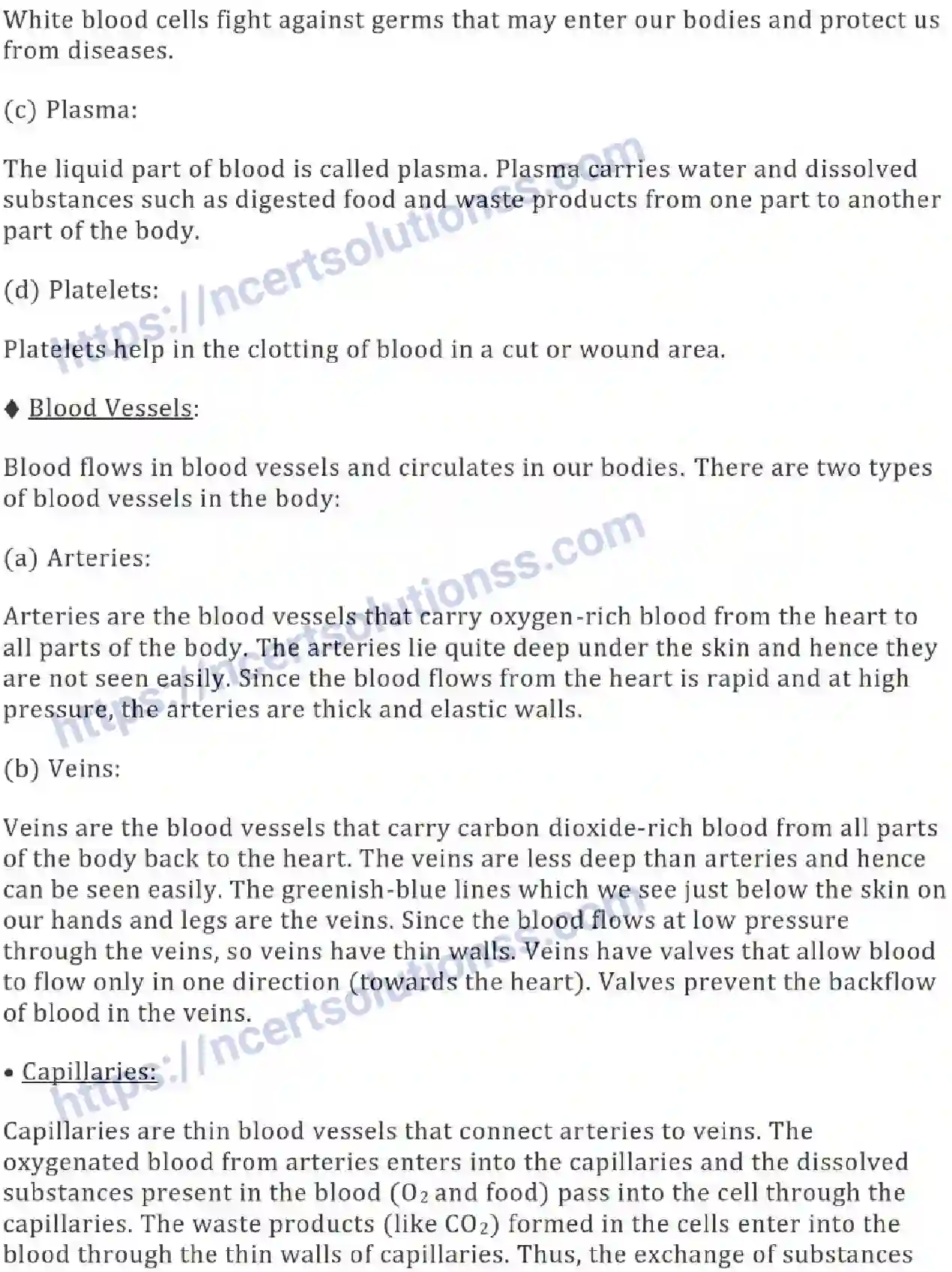 NCERT-Notes-Class-7-Science-Ch-11-Transportation-in-Animals-and-Plants-694-page-2