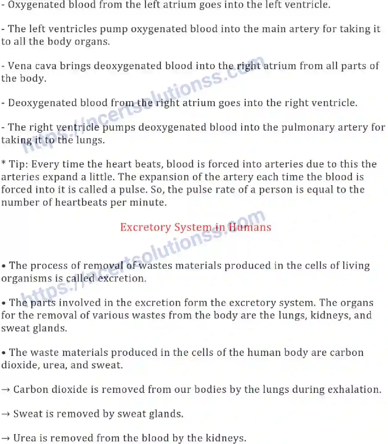 NCERT-Notes-Class-7-Science-Ch-11-Transportation-in-Animals-and-Plants-694-page-4