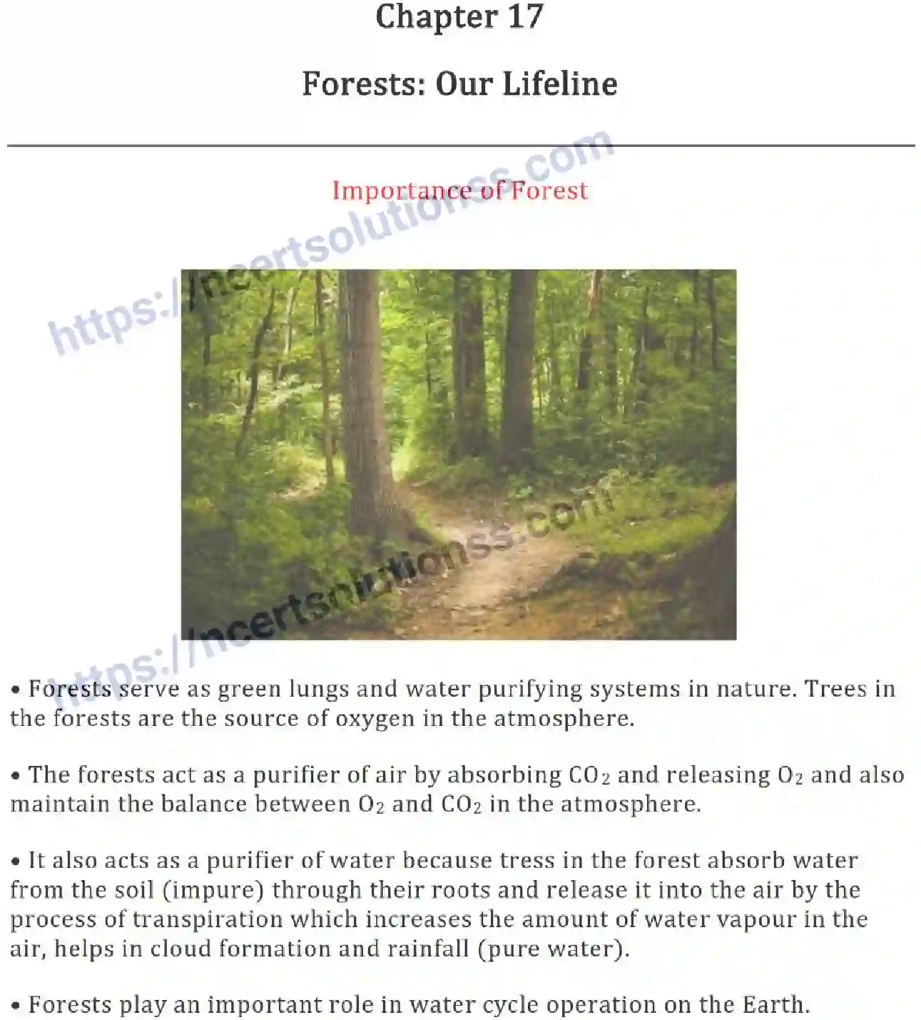NCERT-Notes-Class-7-Science-Ch-17-Forests-Our-Lifeline-700-page-1