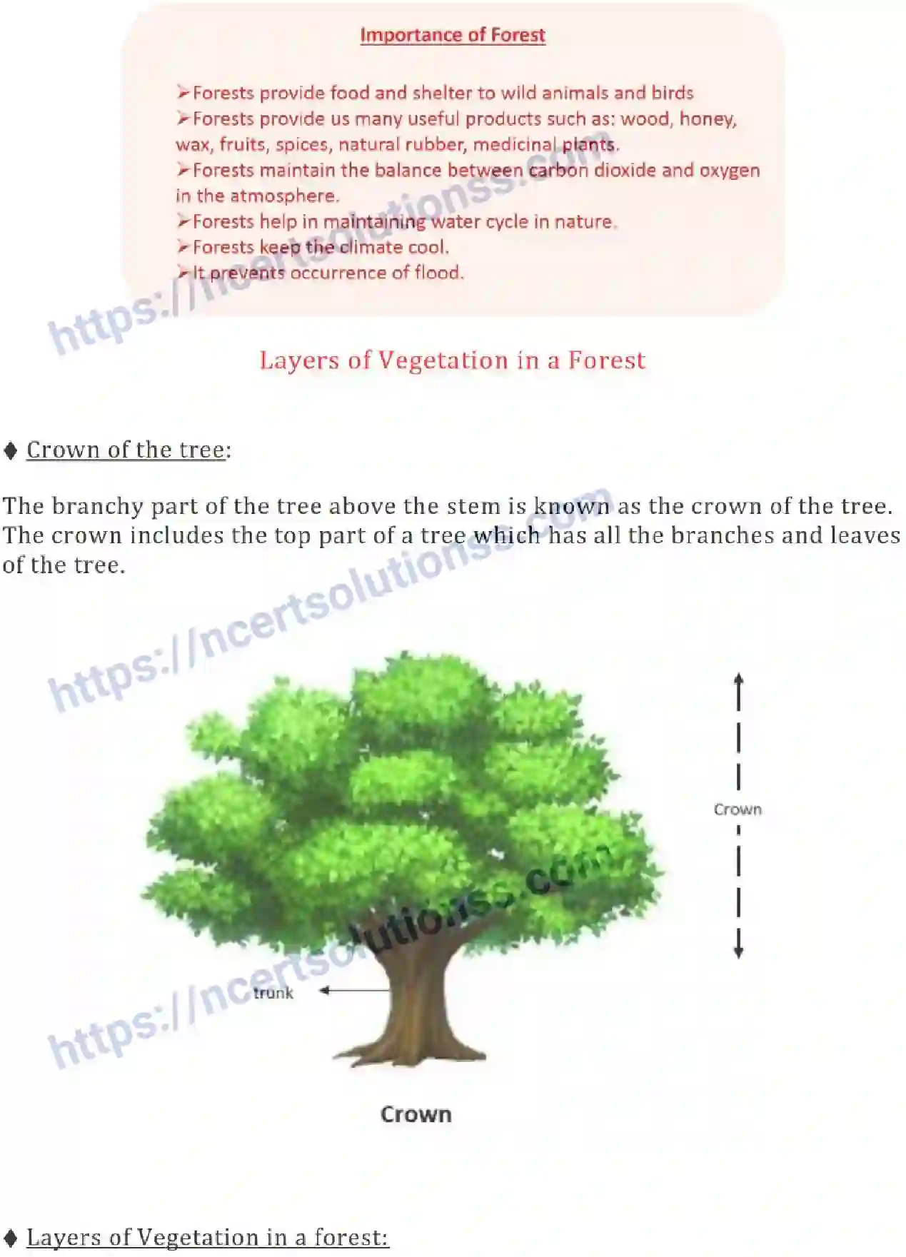 NCERT-Notes-Class-7-Science-Ch-17-Forests-Our-Lifeline-700-page-2
