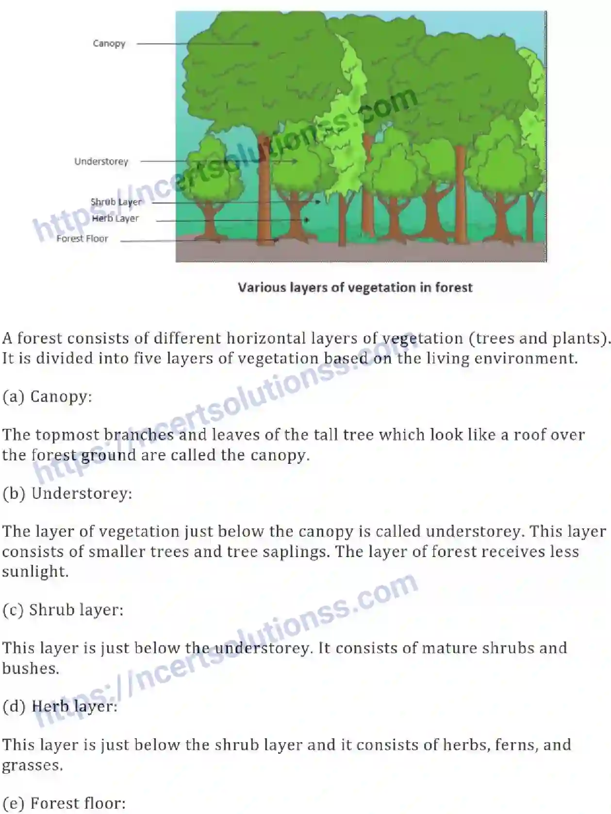 NCERT-Notes-Class-7-Science-Ch-17-Forests-Our-Lifeline-700-page-3
