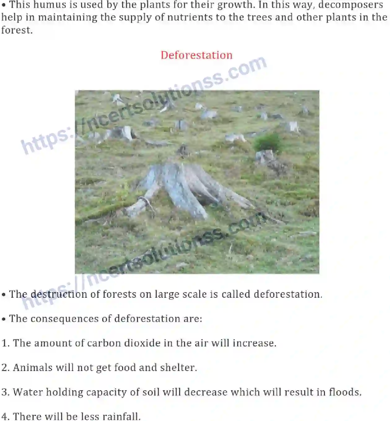 NCERT-Notes-Class-7-Science-Ch-17-Forests-Our-Lifeline-700-page-5