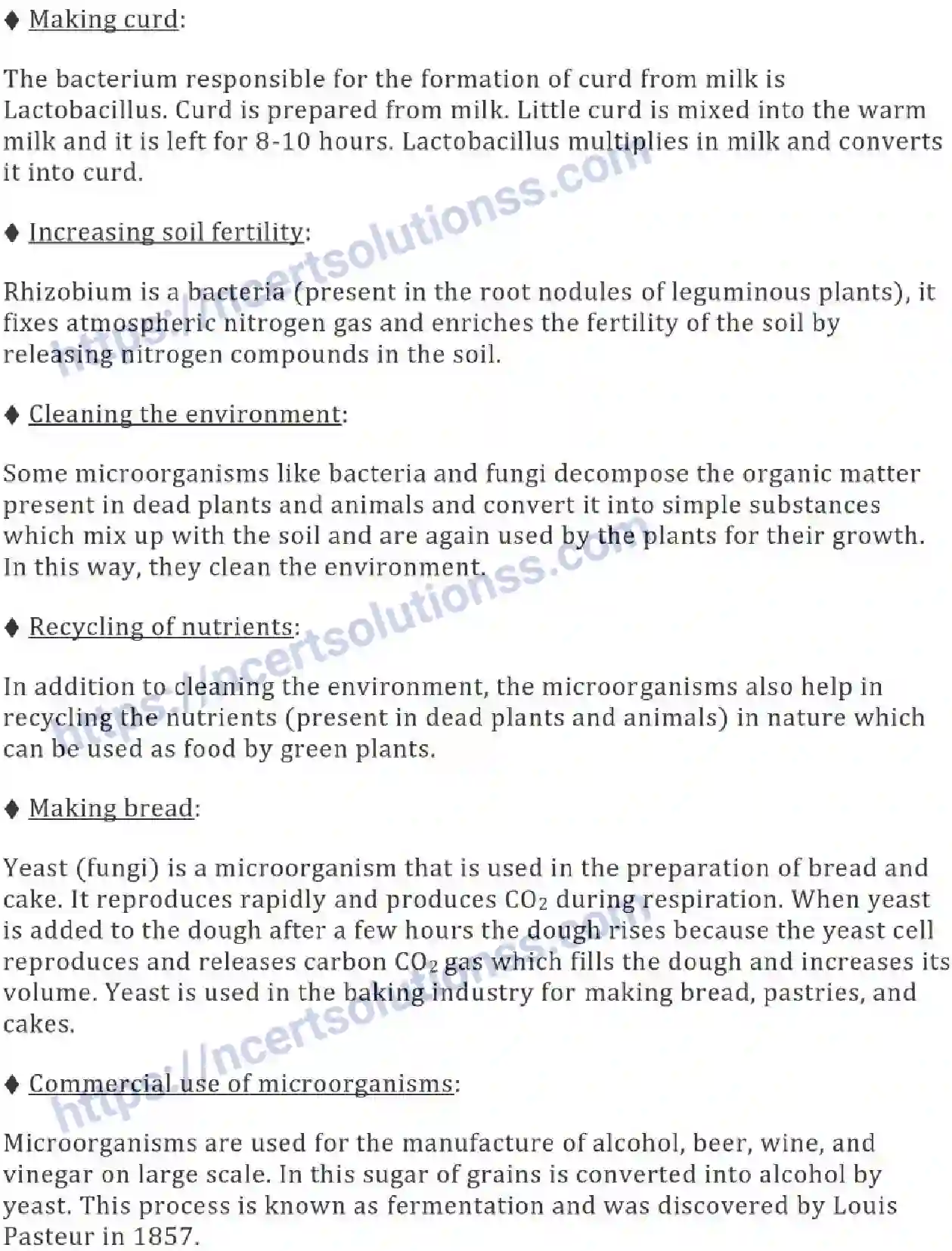 NCERT-Notes-Class-8-Science-Ch-02-Microorganisms-and--Friend-and-Foe-624-page-2