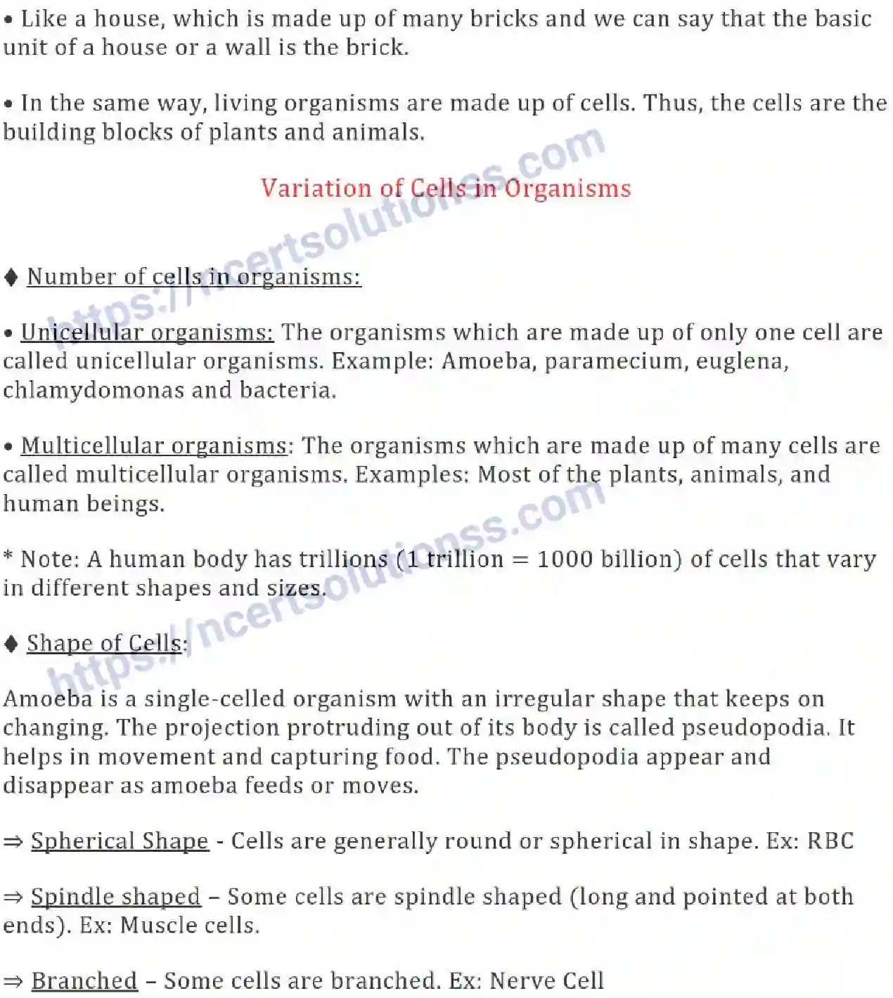NCERT-Notes-Class-8-Science-Ch-08-Cell-and--Structure-and-Functions-630-page-2