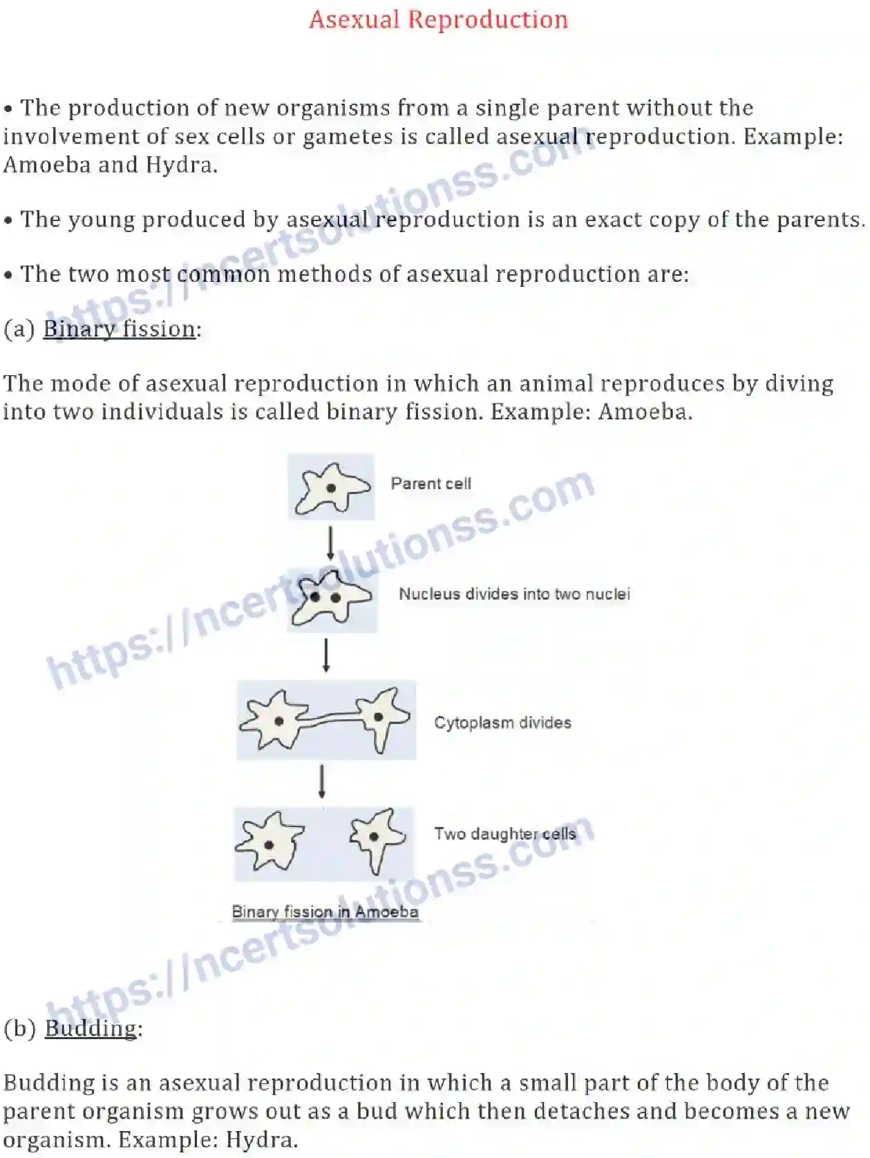 NCERT-Notes-Class-8-Science-Ch-09-Reproduction-in-Animals-631-page-6