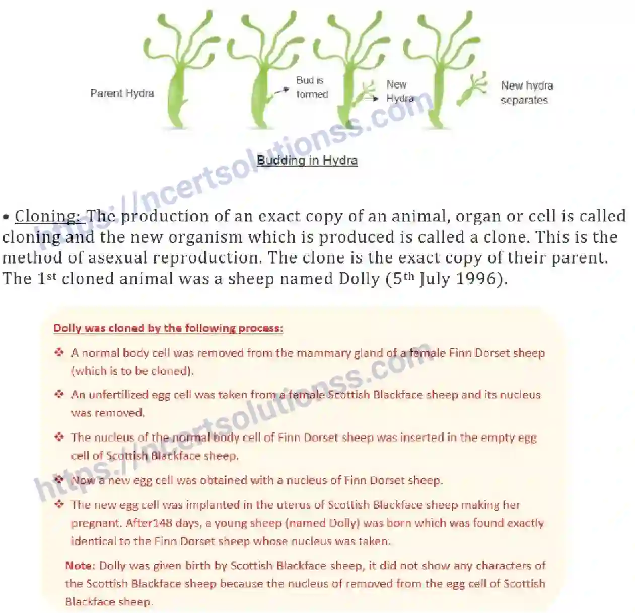 NCERT-Notes-Class-8-Science-Ch-09-Reproduction-in-Animals-631-page-7