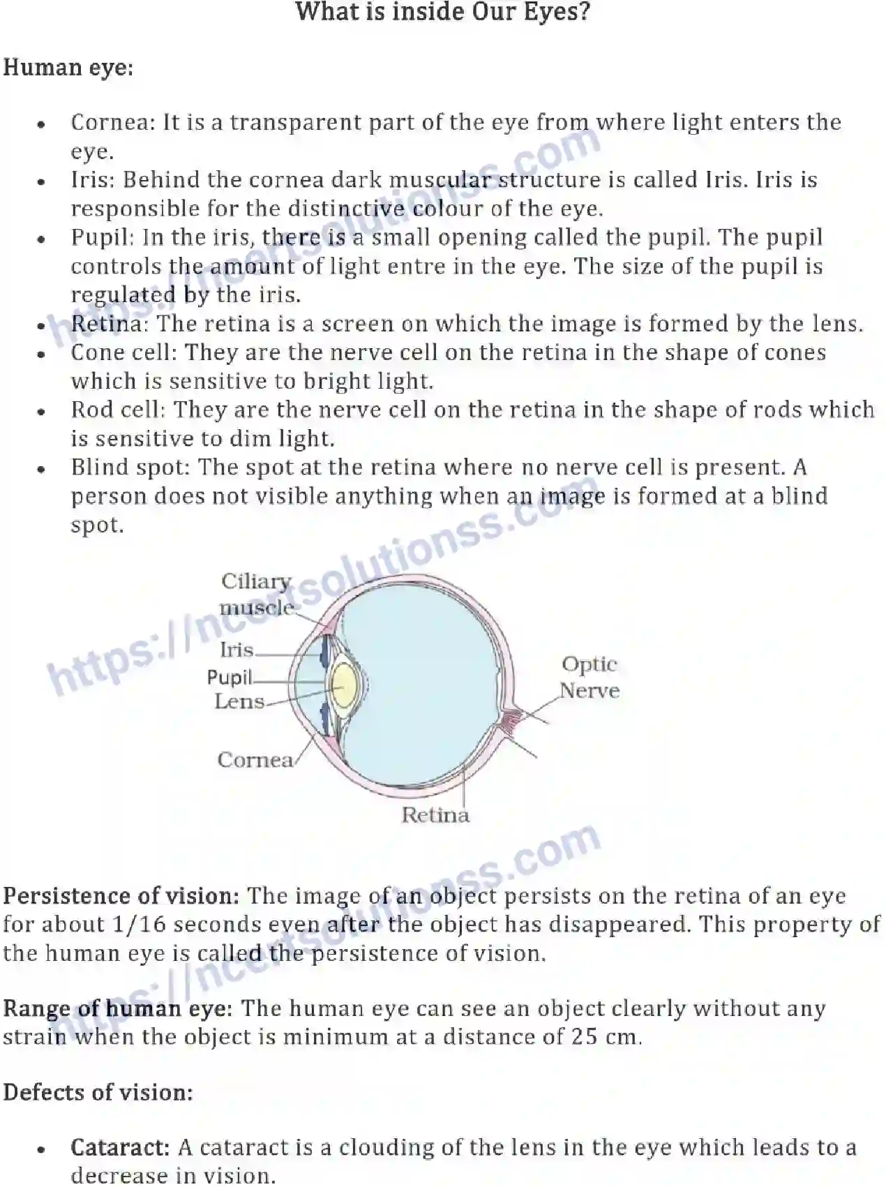 NCERT-Notes-Class-8-Science-Ch-16-Light-638-page-5