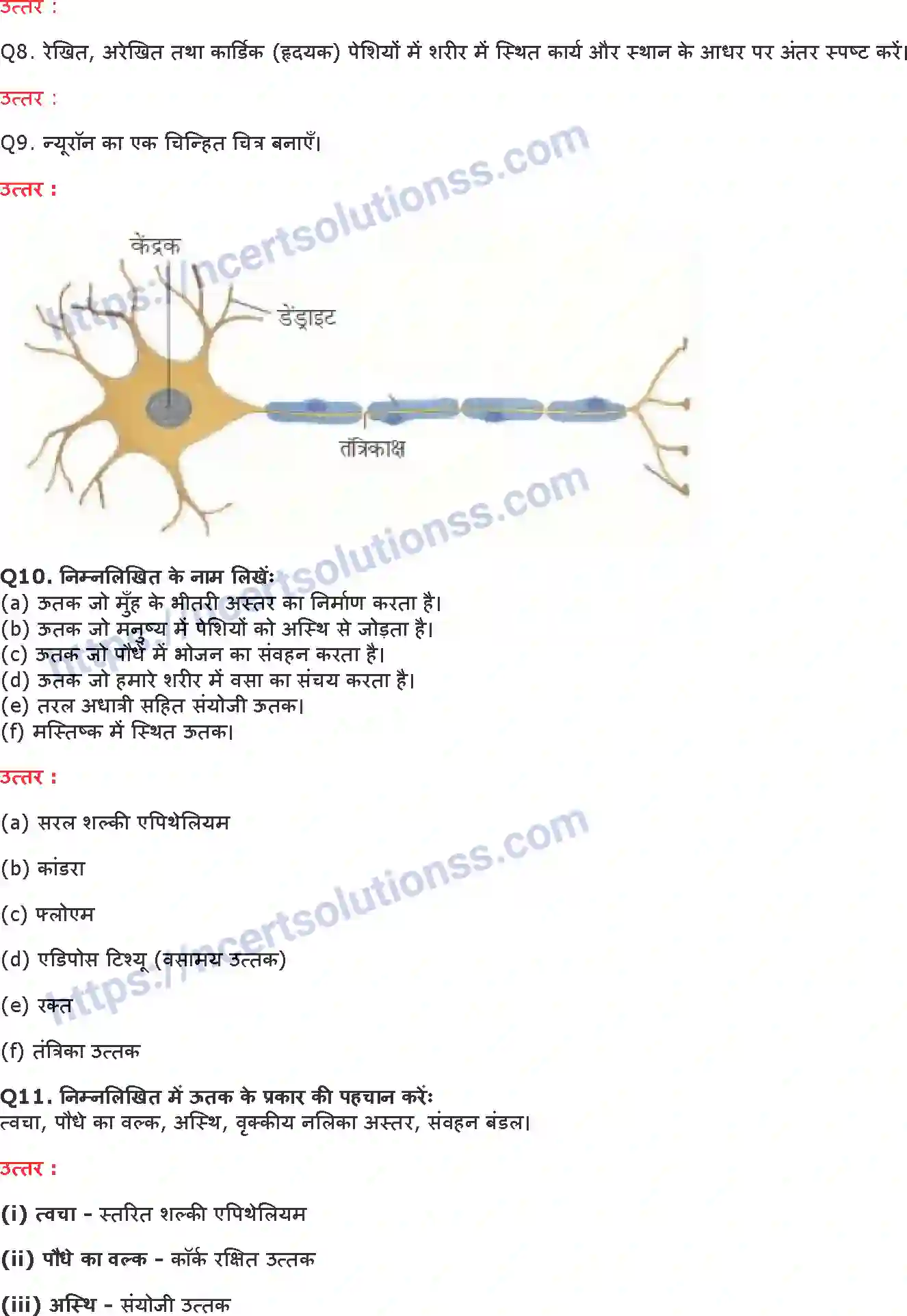 NCERT-Notes-Class-9-विज्ञान-ऊत्तक-1437-page-8