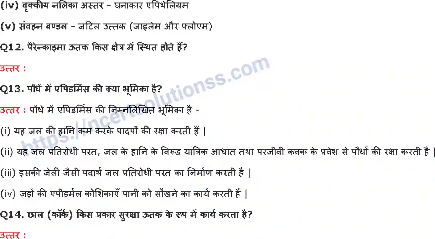 NCERT-Notes-Class-9-विज्ञान-ऊत्तक-1437-page-9