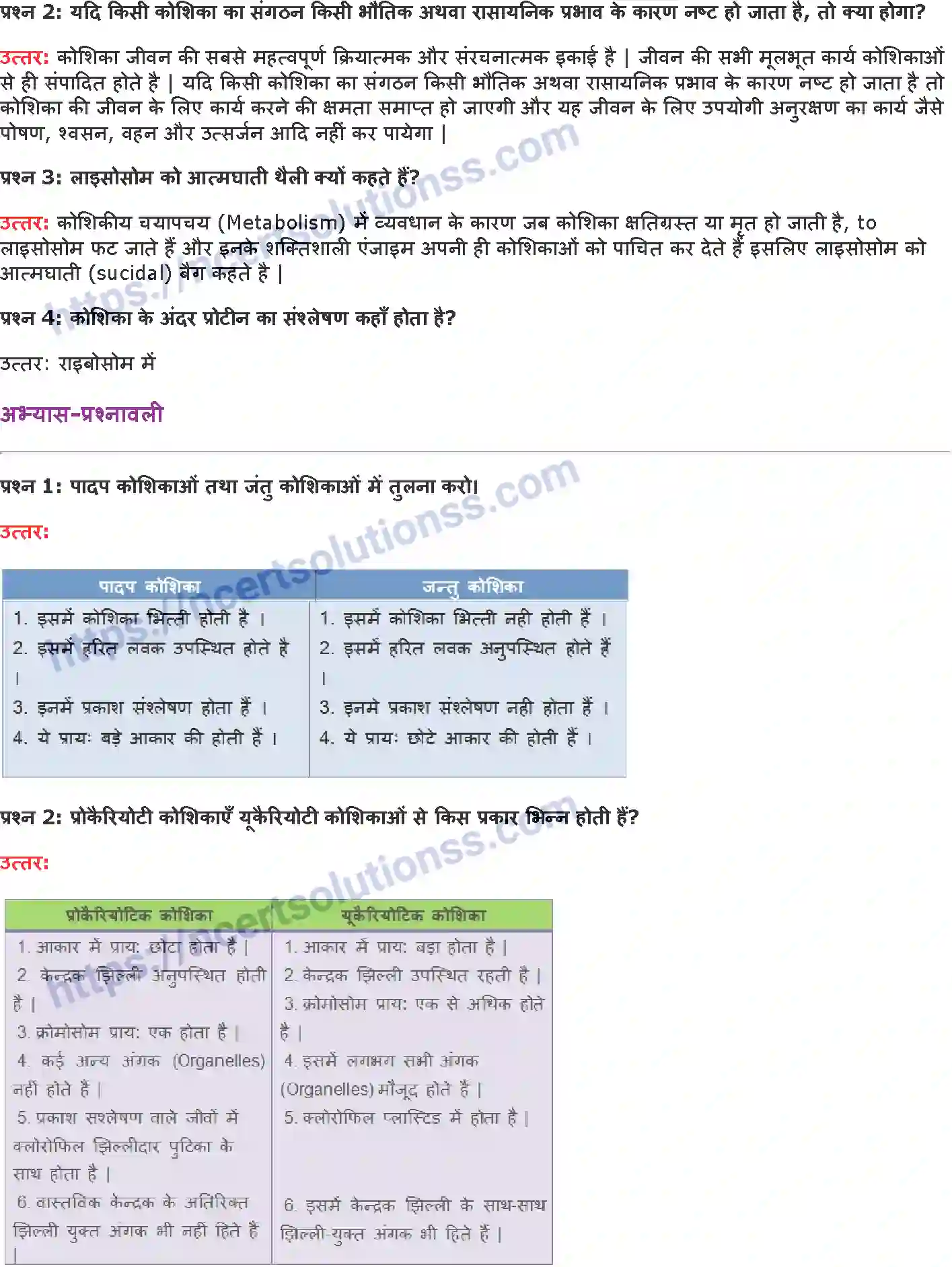 NCERT-Notes-Class-9-विज्ञान-जीवन-की-मौलिक-इकाई-1436-page-4