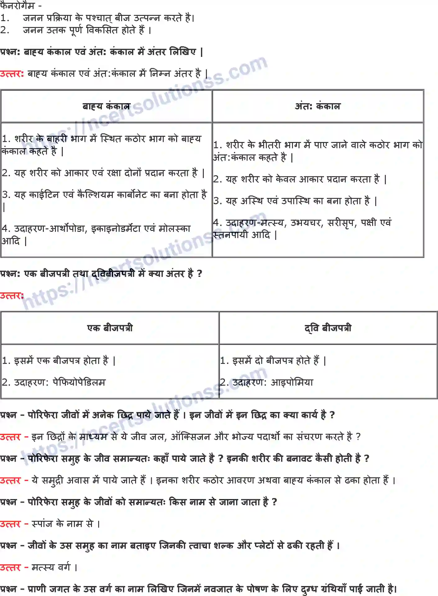 NCERT-Notes-Class-9-विज्ञान-जीवों-में-विविधता-1438-page-6