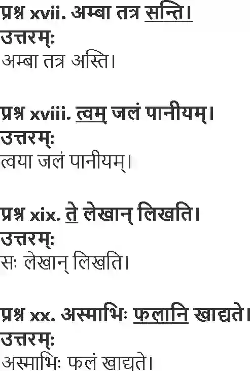 NCERT-Solution-Class-10-Abhyasvan-Bhavah-Ashuddhi-Sanshodhanam-3197-page-3