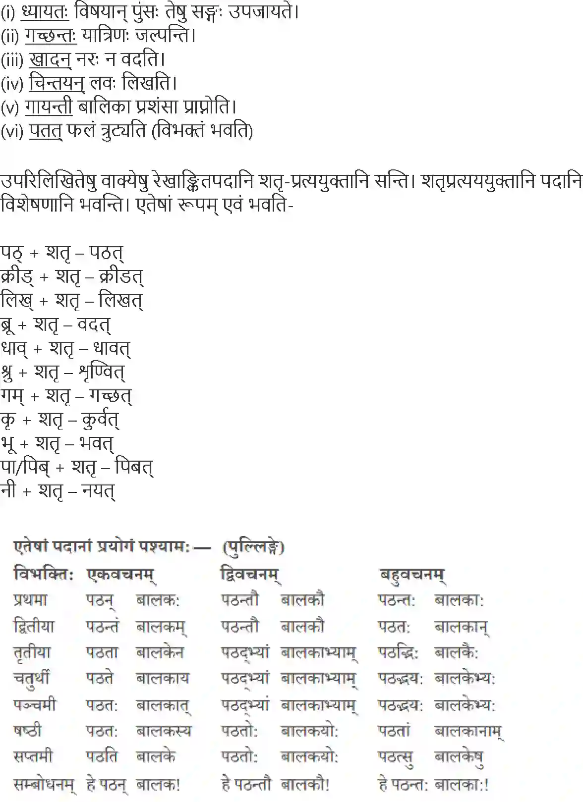 NCERT-Solution-Class-10-Abhyasvan-Bhavah-Pratyay-1021-page-2