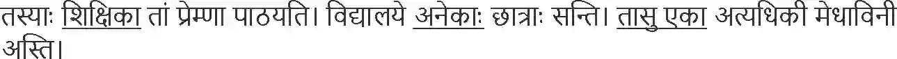 NCERT-Solution-Class-10-Abhyasvan-Bhavah-Pratyay-1021-page-25