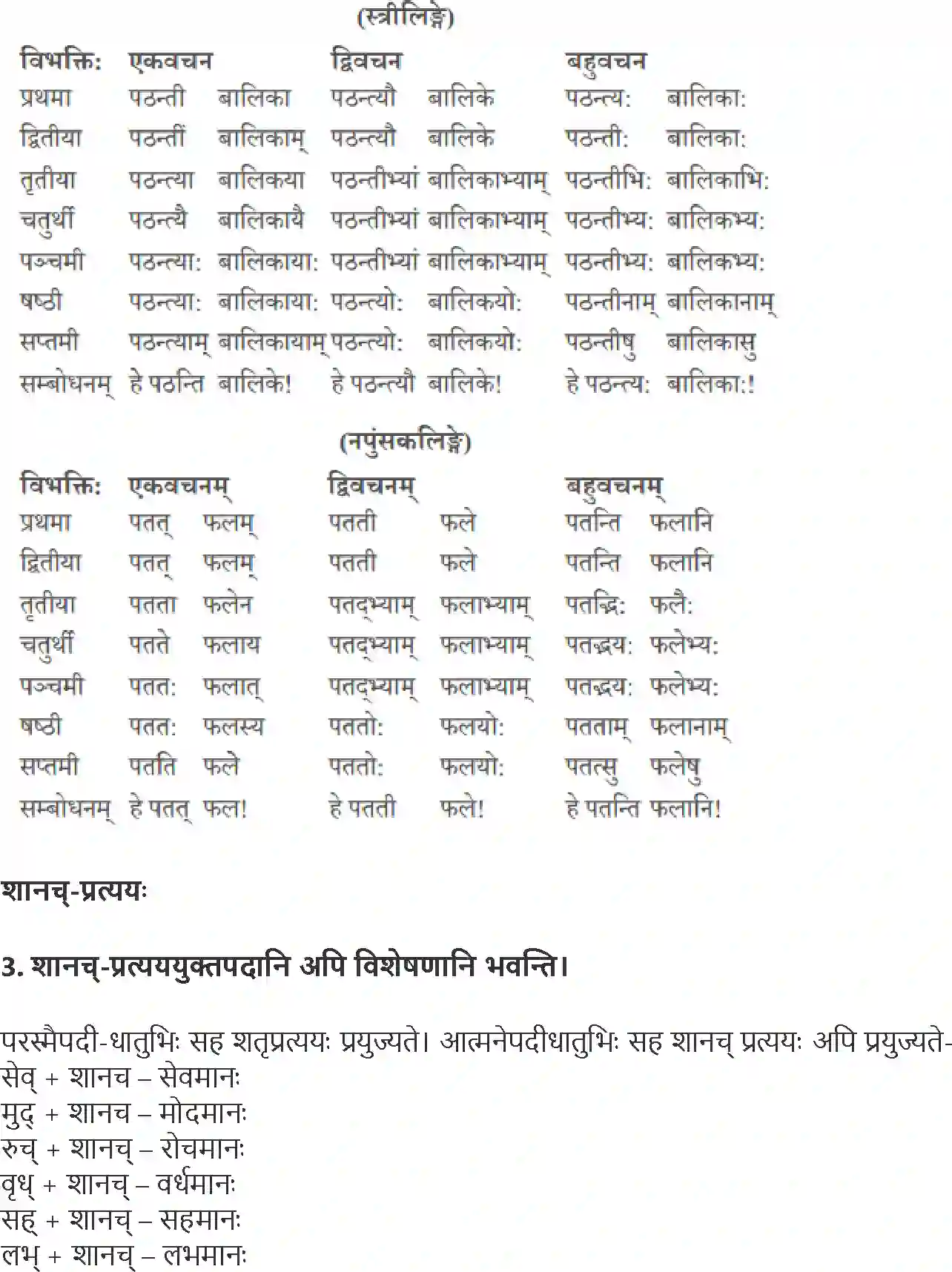 NCERT-Solution-Class-10-Abhyasvan-Bhavah-Pratyay-1021-page-3