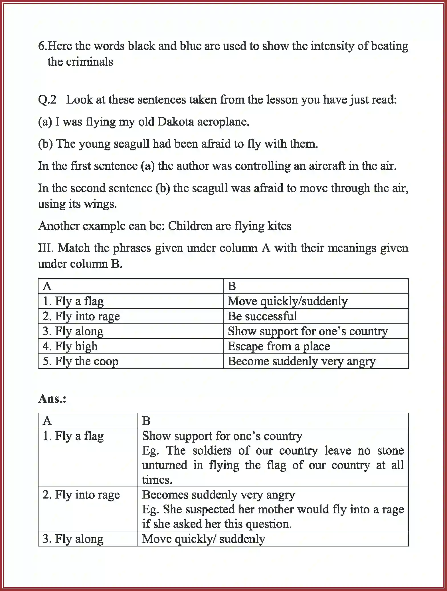 NCERT-Solution-Class-10-First-Flight-Two-Stories-about-Flying-917-page-7