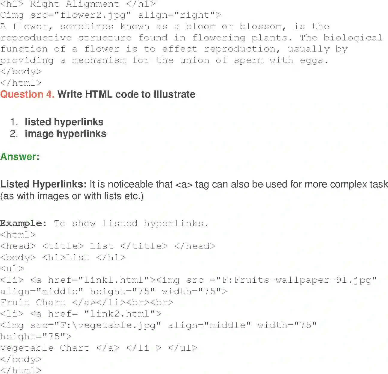 NCERT-Solution-Class-10-Foundation-of-Information-Technology-Inserting-Images-and-Links-in-HTML-952-page-10