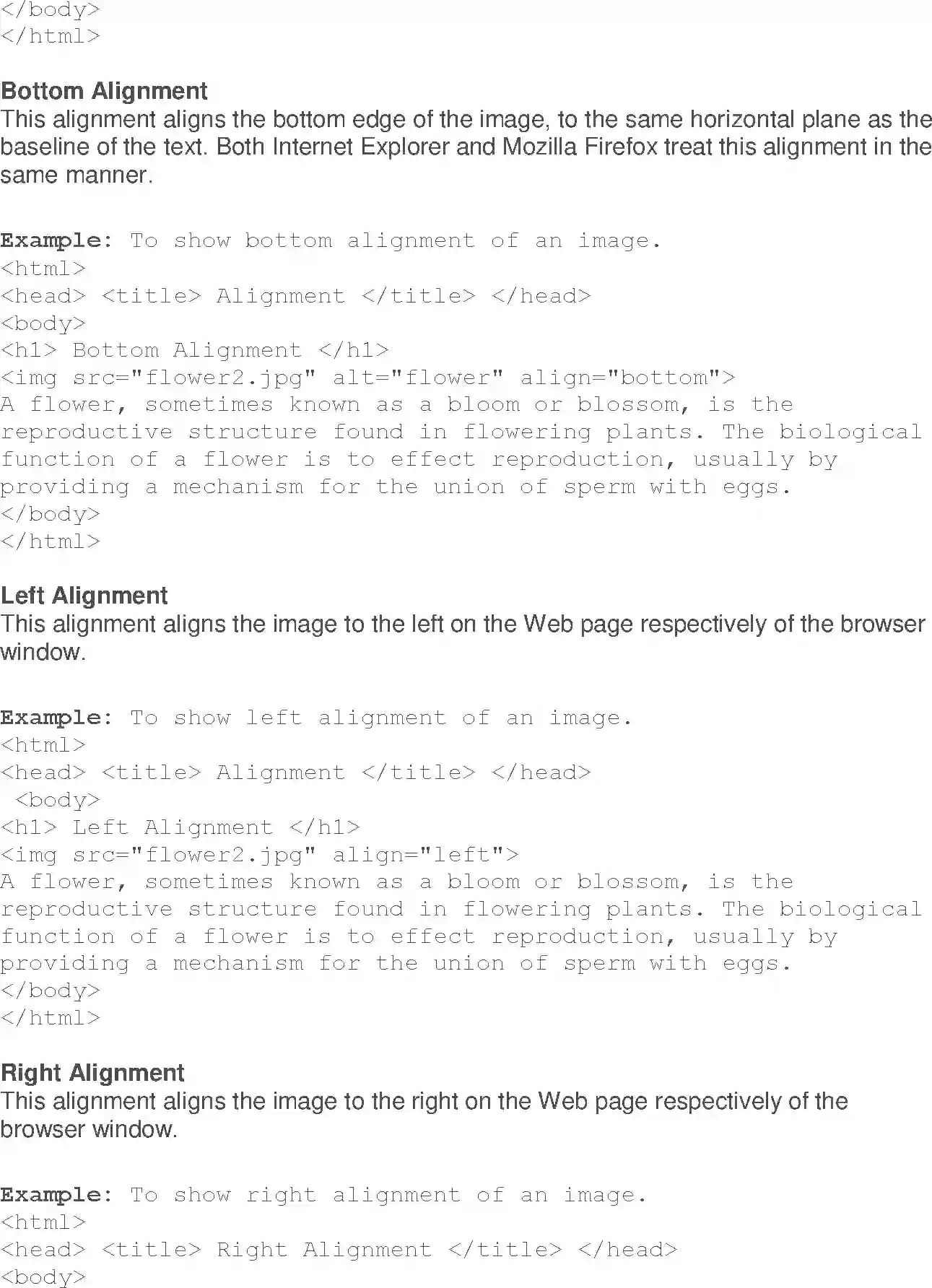 NCERT-Solution-Class-10-Foundation-of-Information-Technology-Inserting-Images-and-Links-in-HTML-952-page-9