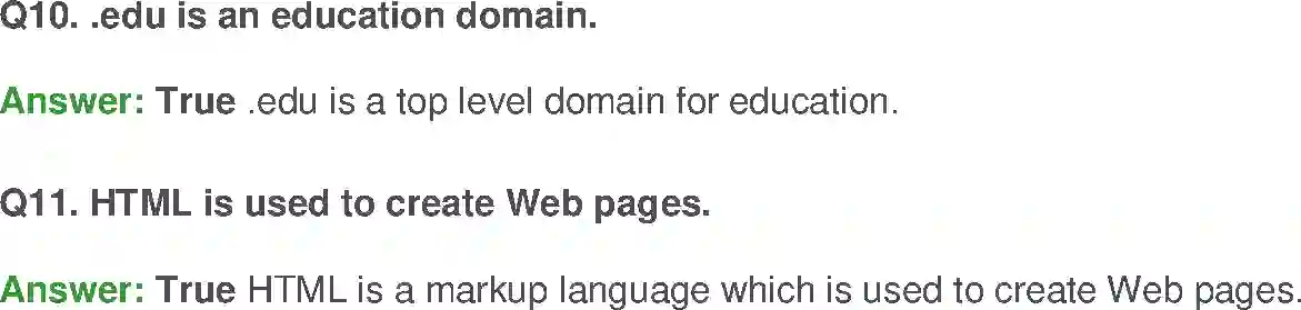 NCERT-Solution-Class-10-Foundation-of-Information-Technology-Internet-Basics-3119-page-19