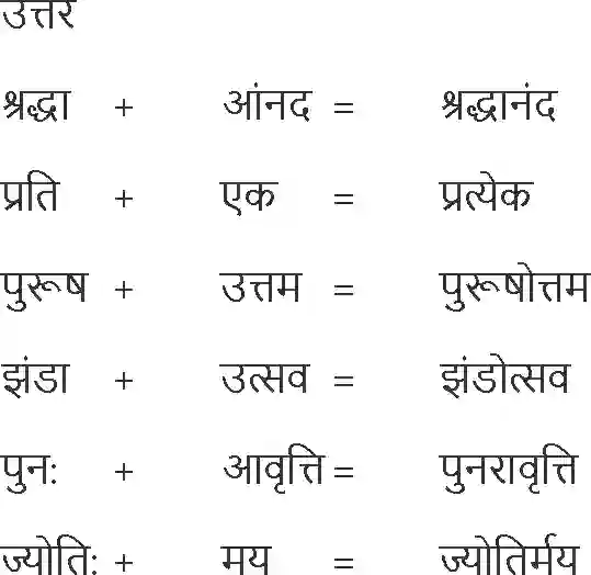 NCERT-Solution-Class-10-Hindi-Diary-Ka-Ek-Panna-3044-page-6