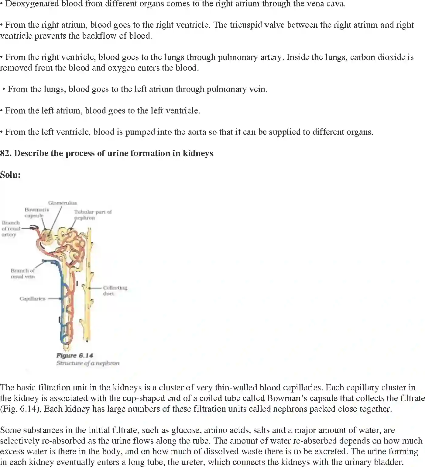 NCERT-Solution-Class-10-Science-Exemplar-Life-Processes-3152-page-27