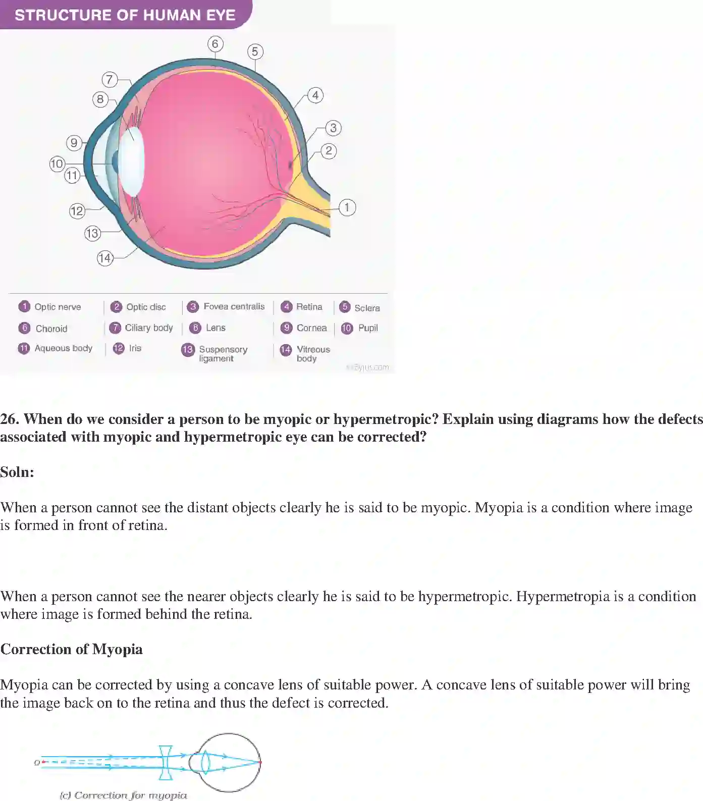NCERT-Solution-Class-10-Science-Exemplar-The-Human-Eye-and-The-Colourful-World-3157-page-10