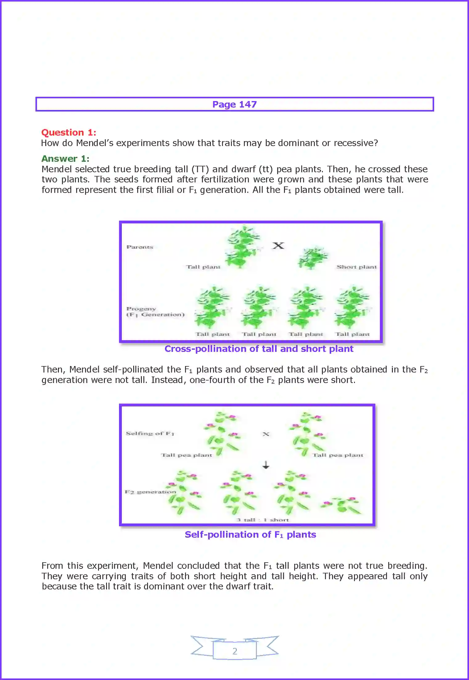 NCERT-Solution-Class-10-Science-Heredity-and-Evolution-2999-page-2