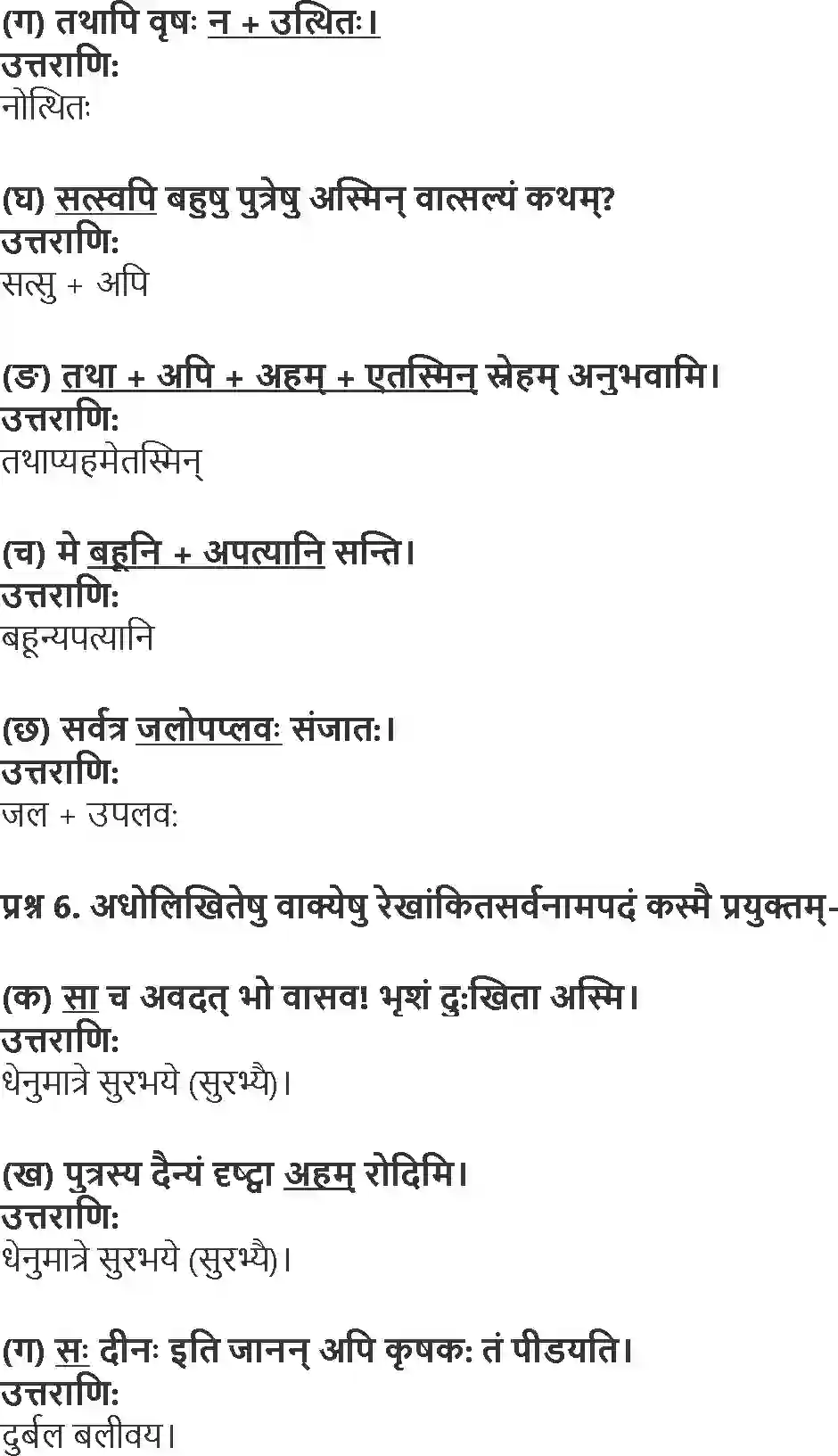 NCERT-Solution-Class-10-Shemushi-Janani-Tulyavatsala-3178-page-4