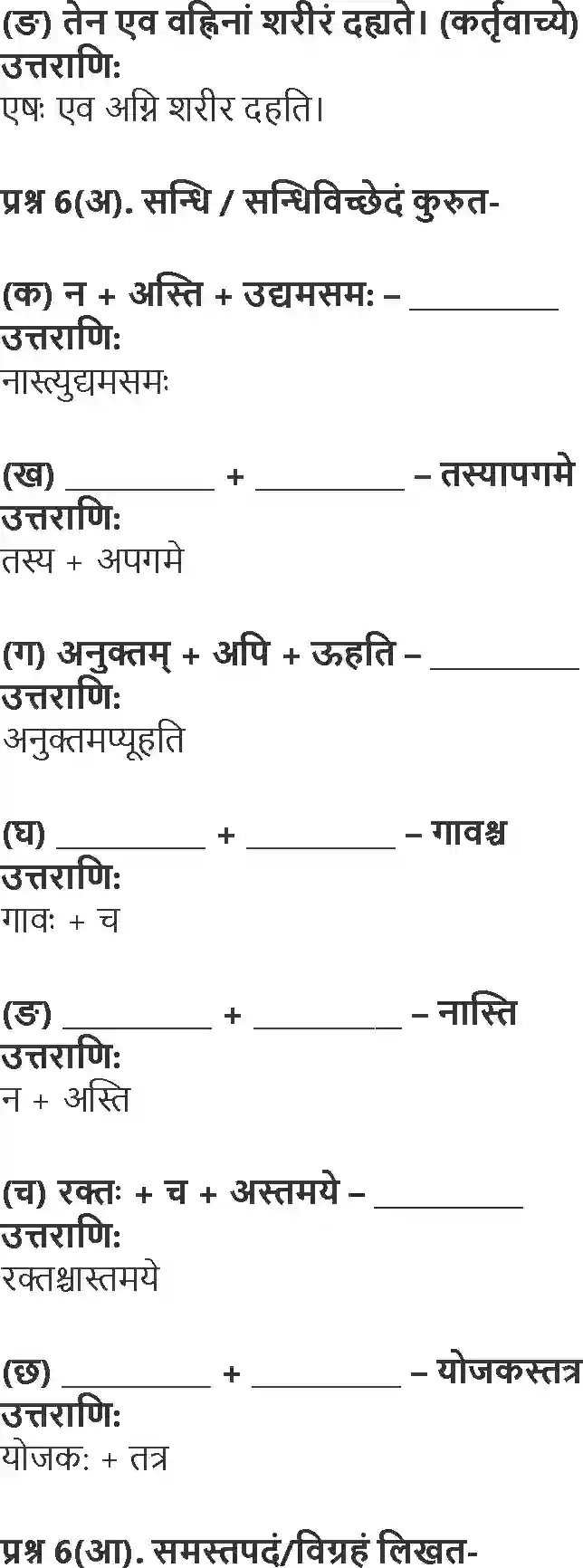 NCERT-Solution-Class-10-Shemushi-Subhashitani-1007-page-4