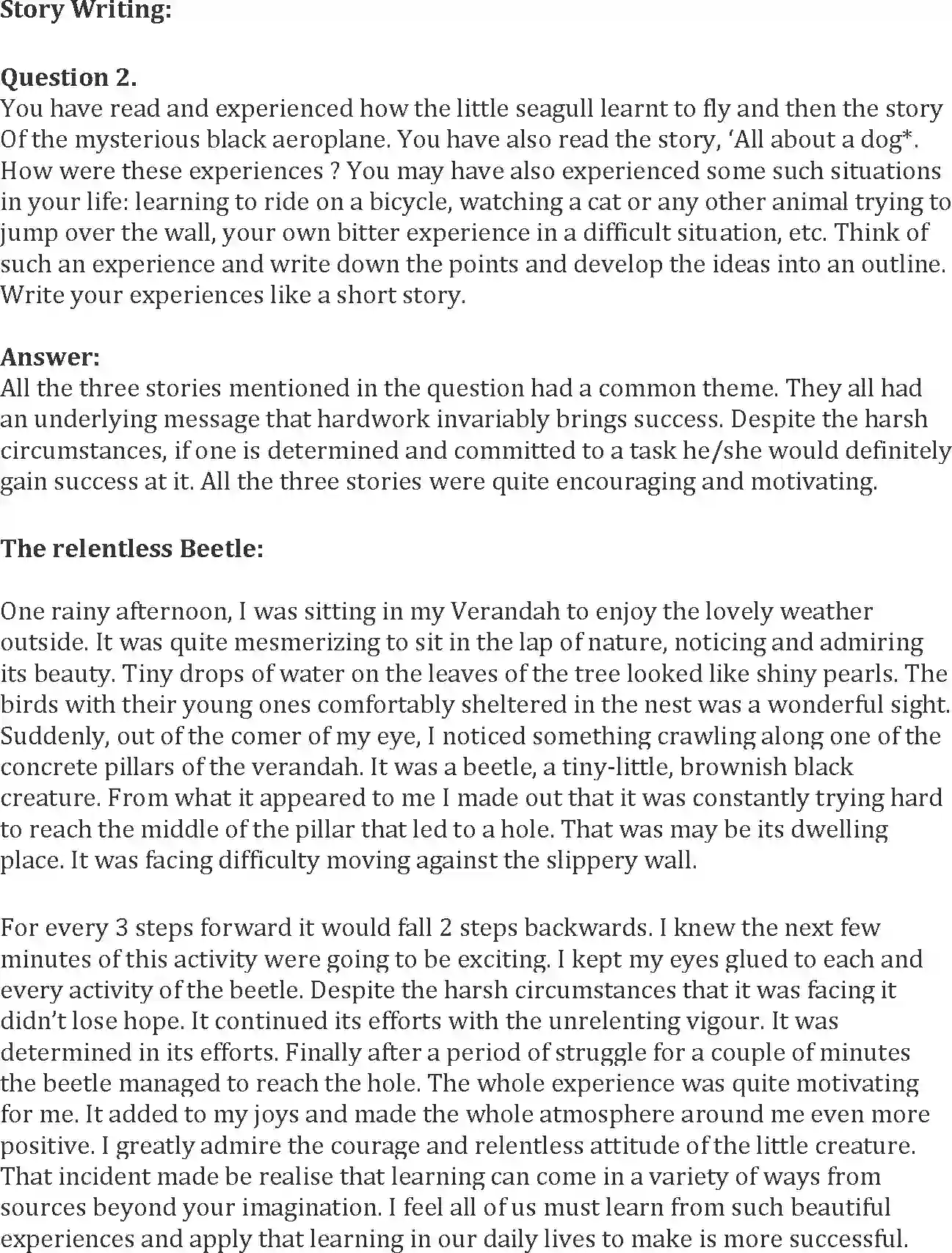 NCERT-Solution-Class-10-Words-and-Expressions-Unit-3-Two-Stories-About-Flying-993-page-16