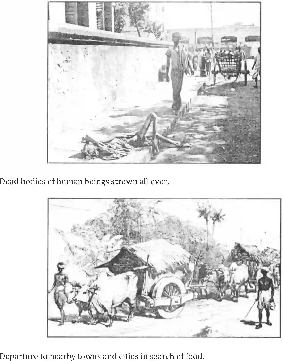 NCERT-Solution-Class-10-Words-and-Expressions-Unit-4-From-the-Diary-of-Anne-Frank-994-page-13