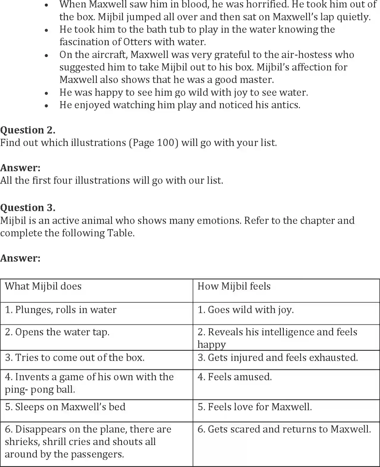 NCERT-Solution-Class-10-Words-and-Expressions-Unit-8-Mijbil-the-Otter-998-page-2
