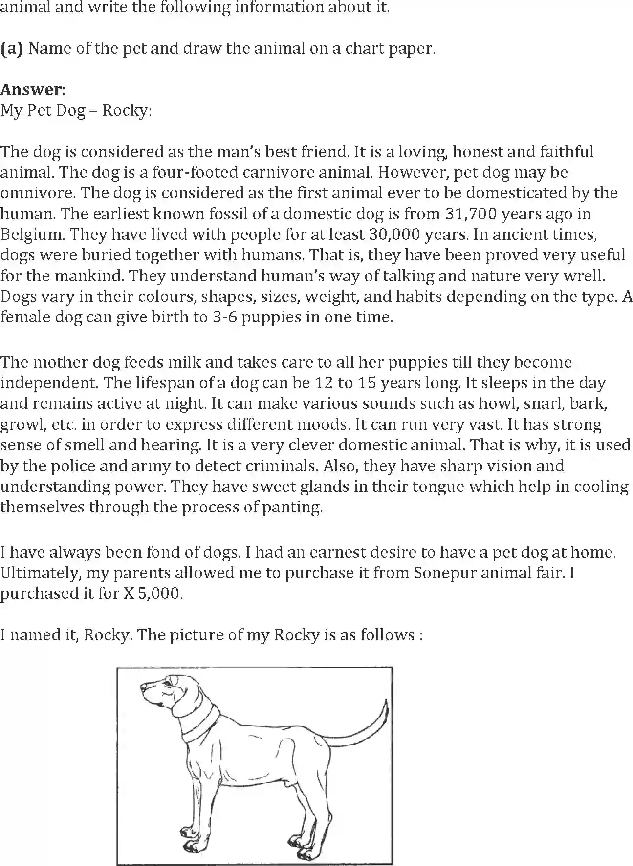 NCERT-Solution-Class-10-Words-and-Expressions-Unit-8-Mijbil-the-Otter-998-page-23
