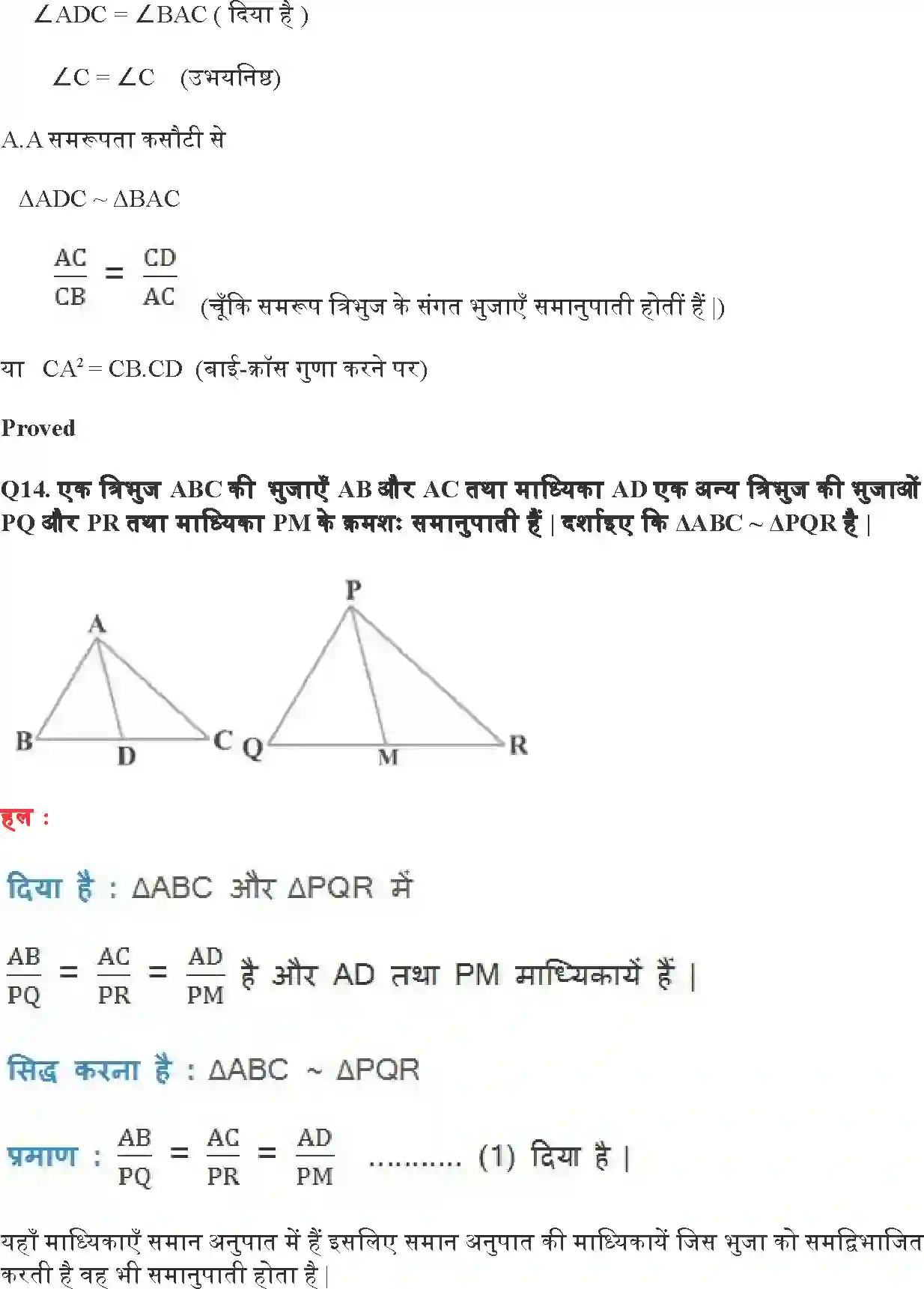 NCERT-Solution-Class-10-गणित-त्रिभुज-4747-page-30