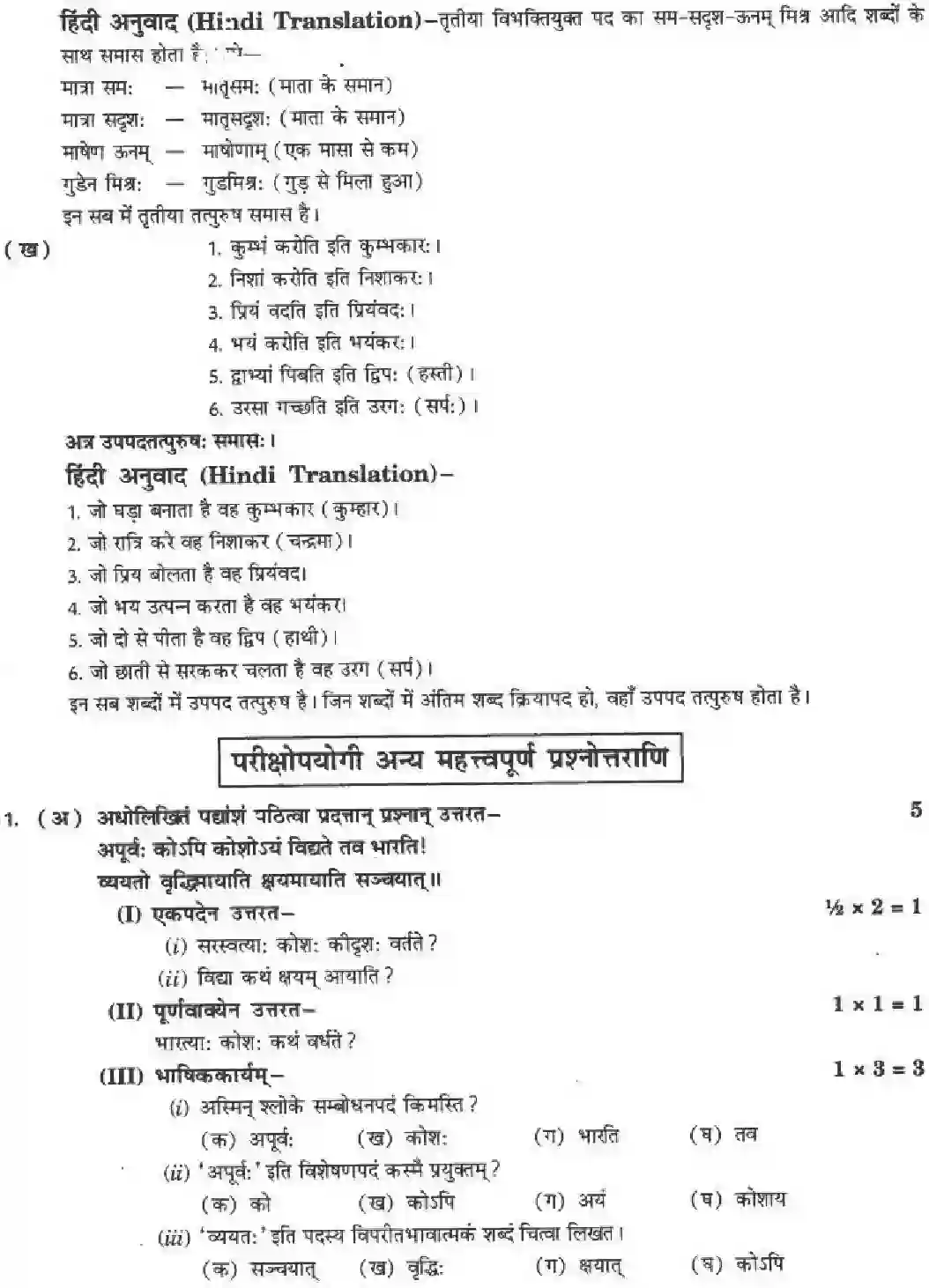 NCERT-Solution-Class-10-मनिका-वाड्मयं-तपः-4838-page-18