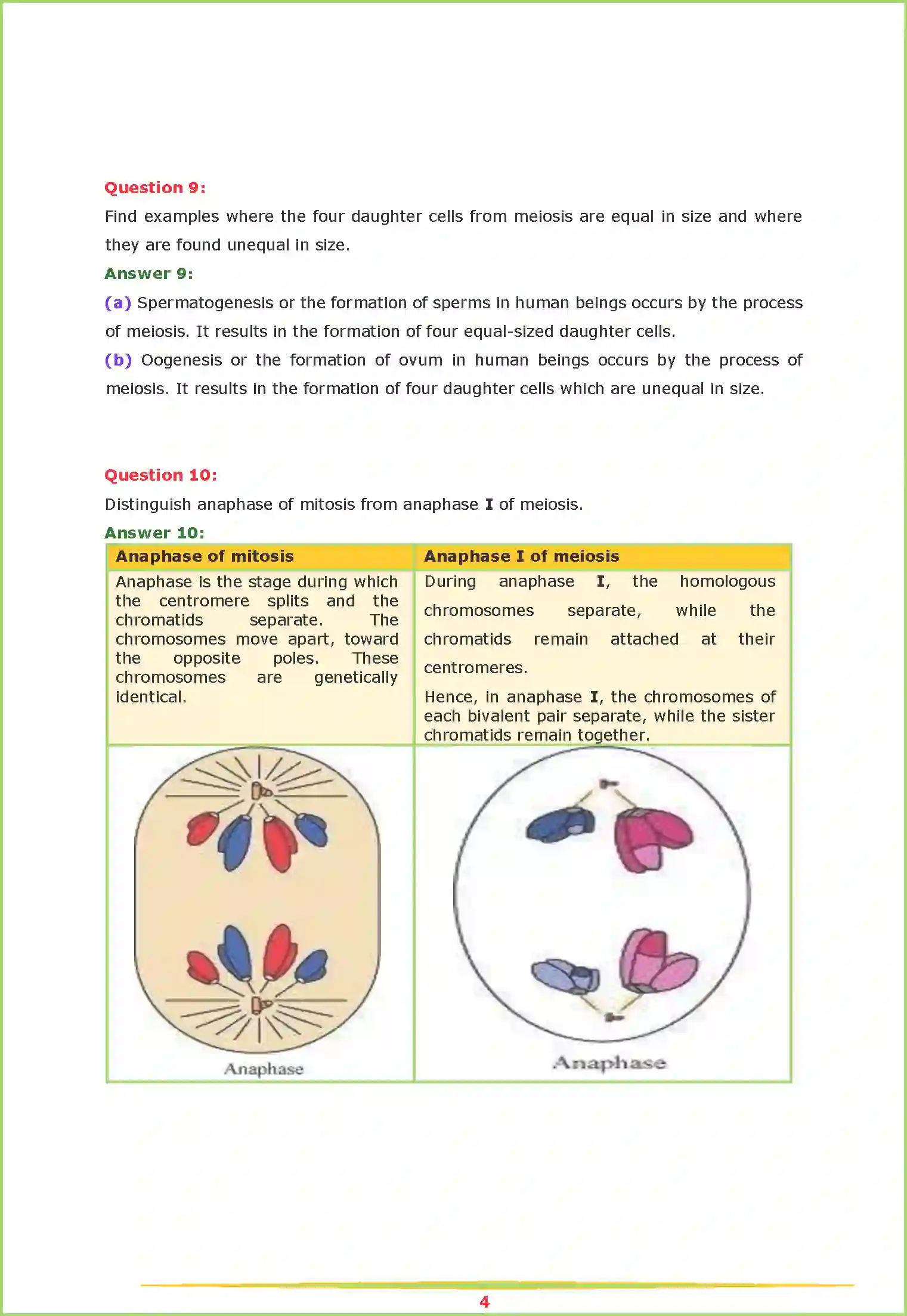 NCERT-Solution-Class-11-Biology-Chapter-10-Cell-Cycle-and-Cell-Division-2620-page-4