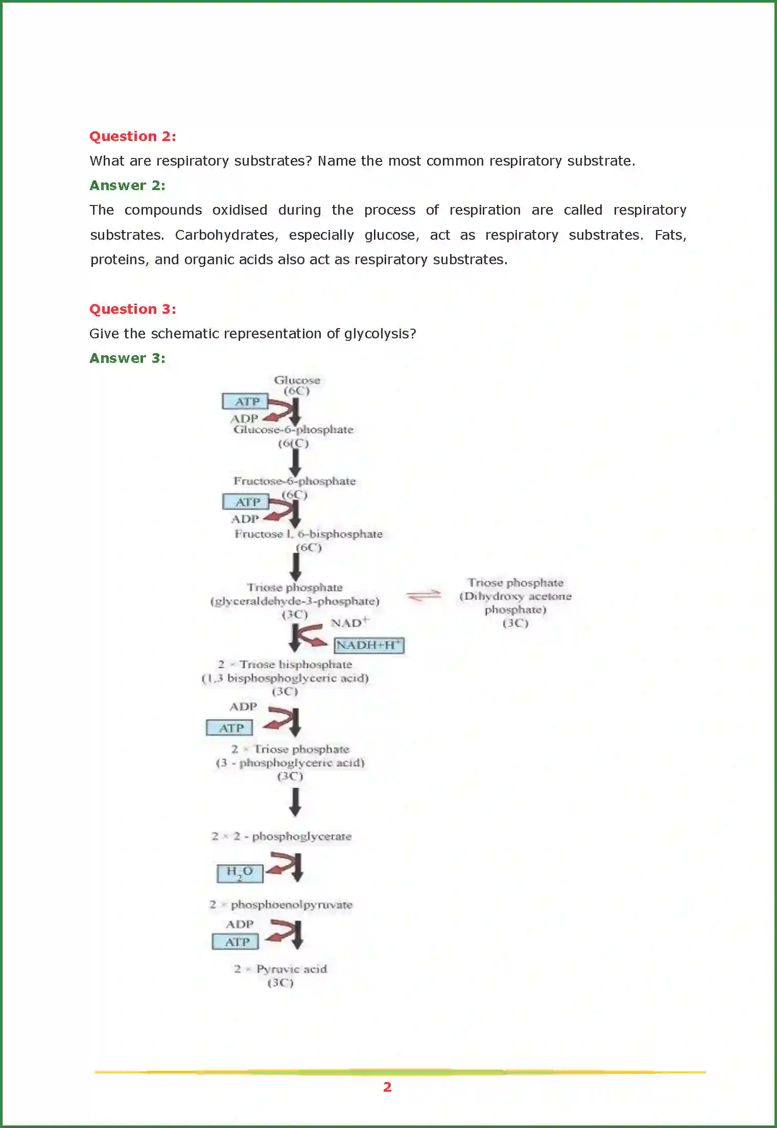 NCERT-Solution-Class-11-Biology-Chapter-14-Respiration-in-Plants-2624-page-2