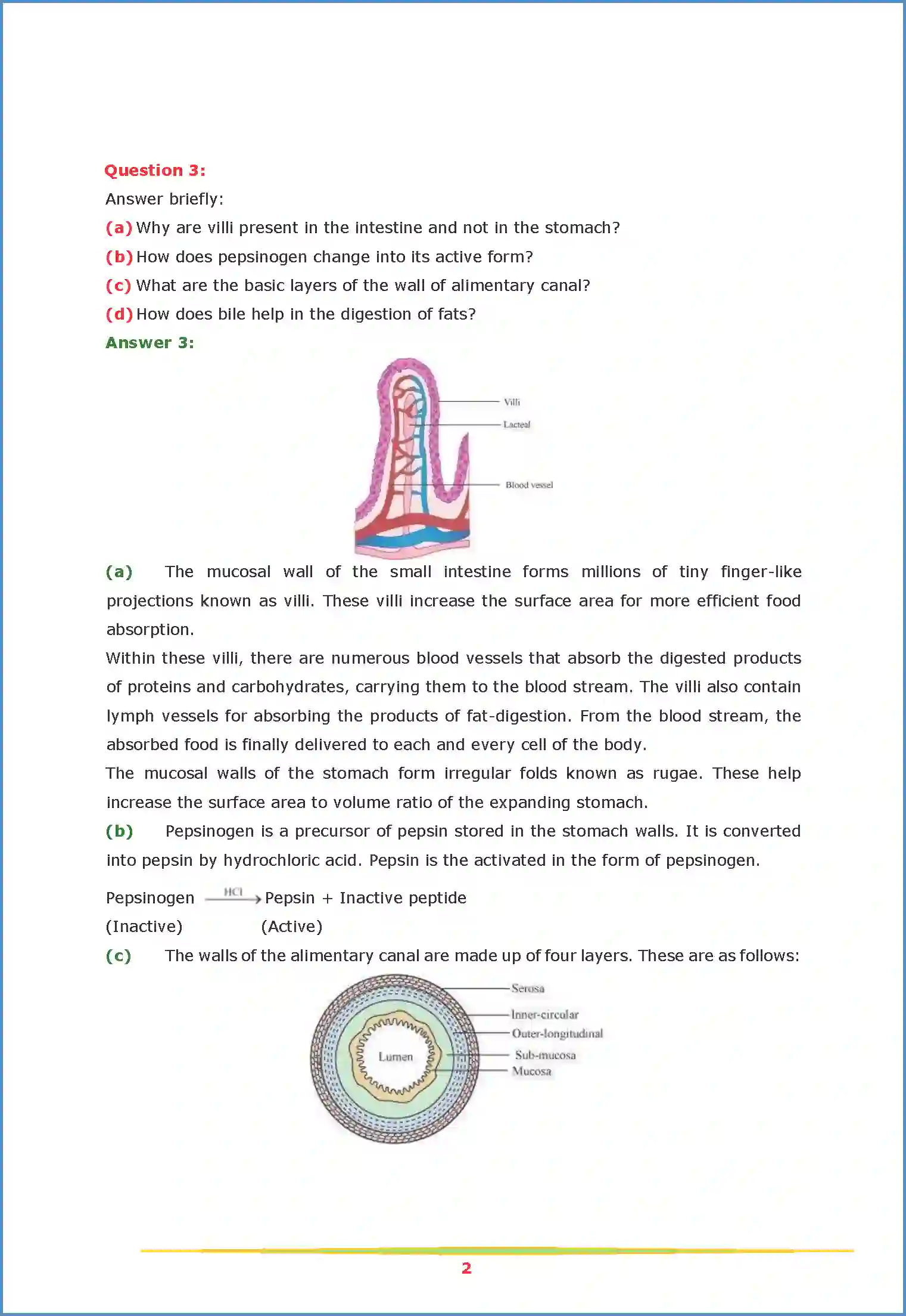 NCERT-Solution-Class-11-Biology-Chapter-16-Digestion-and-Absorption-2626-page-2
