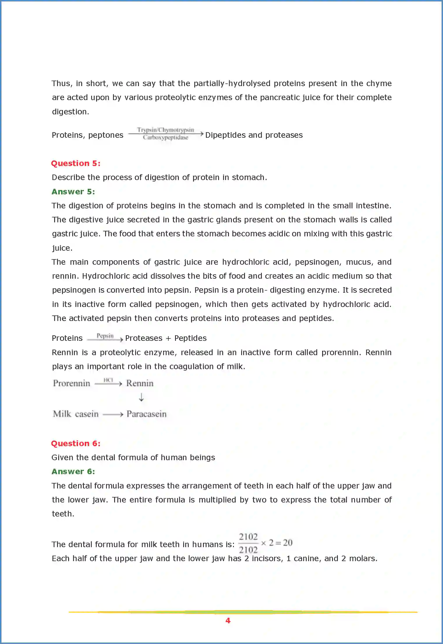 NCERT-Solution-Class-11-Biology-Chapter-16-Digestion-and-Absorption-2626-page-4