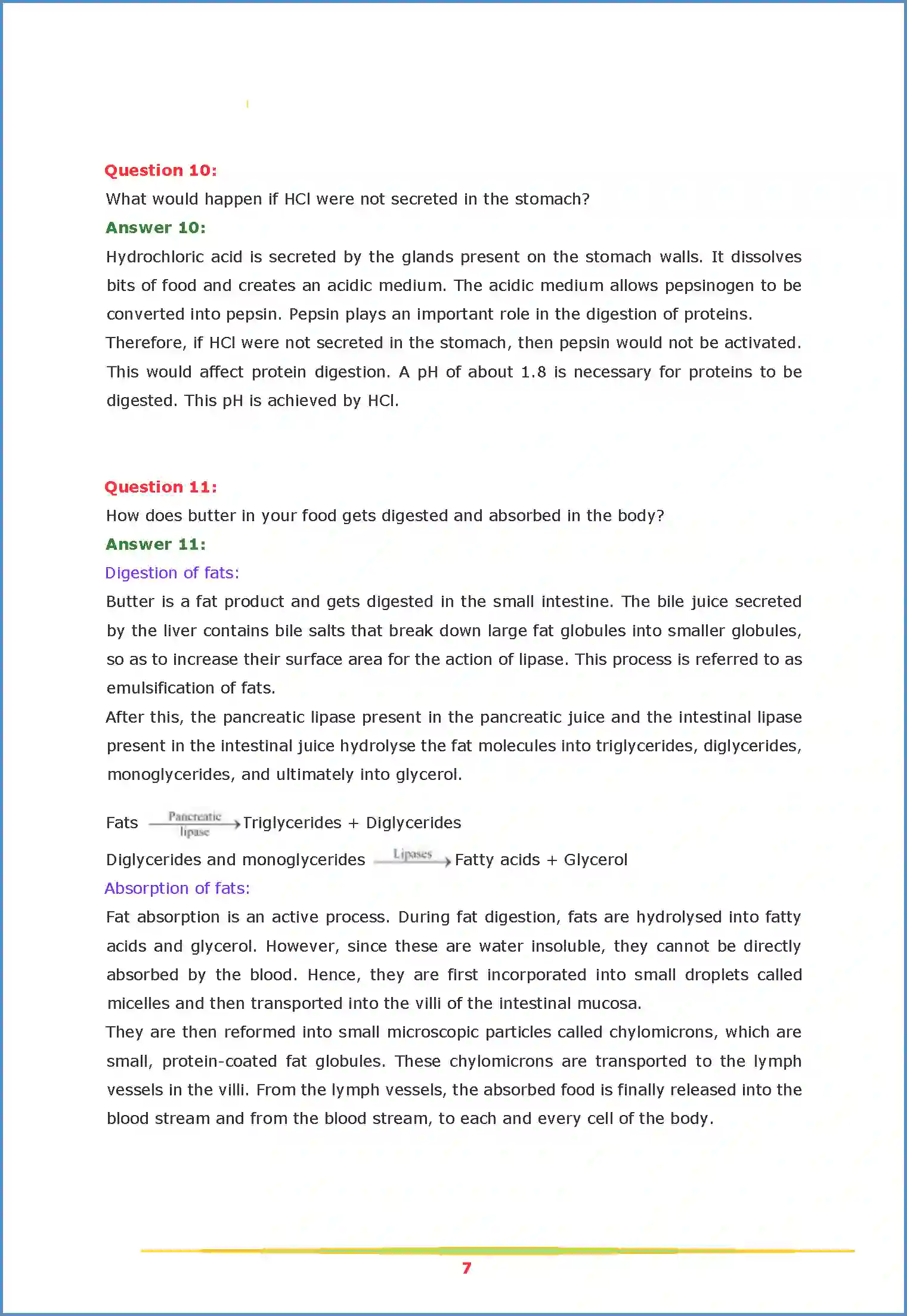 NCERT-Solution-Class-11-Biology-Chapter-16-Digestion-and-Absorption-2626-page-7