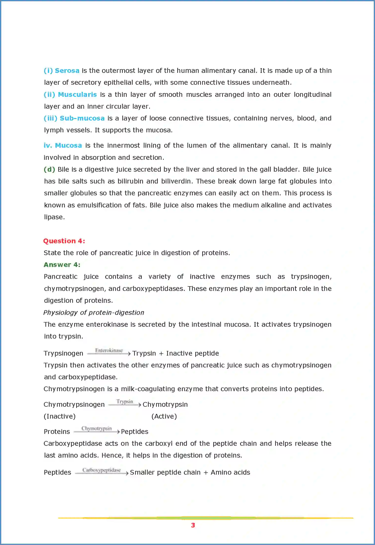 NCERT-Solution-Class-11-Biology-Chapter-16-Digestion-and-Absorption-454-page-3