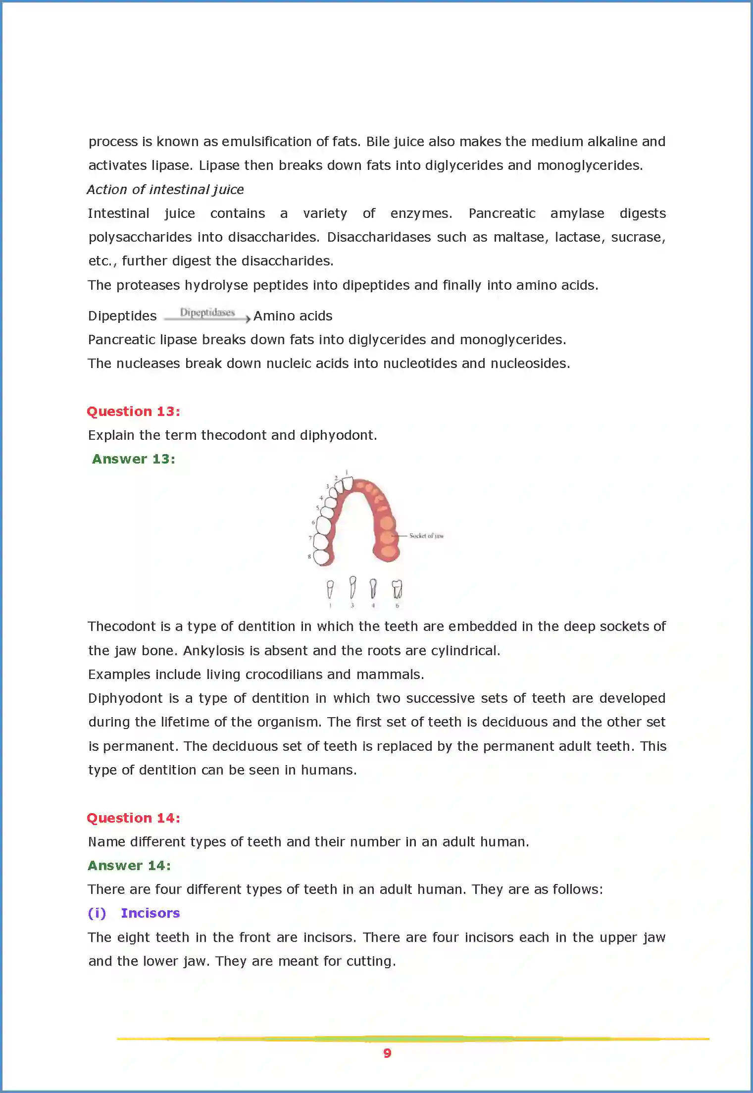 NCERT-Solution-Class-11-Biology-Chapter-16-Digestion-and-Absorption-454-page-9